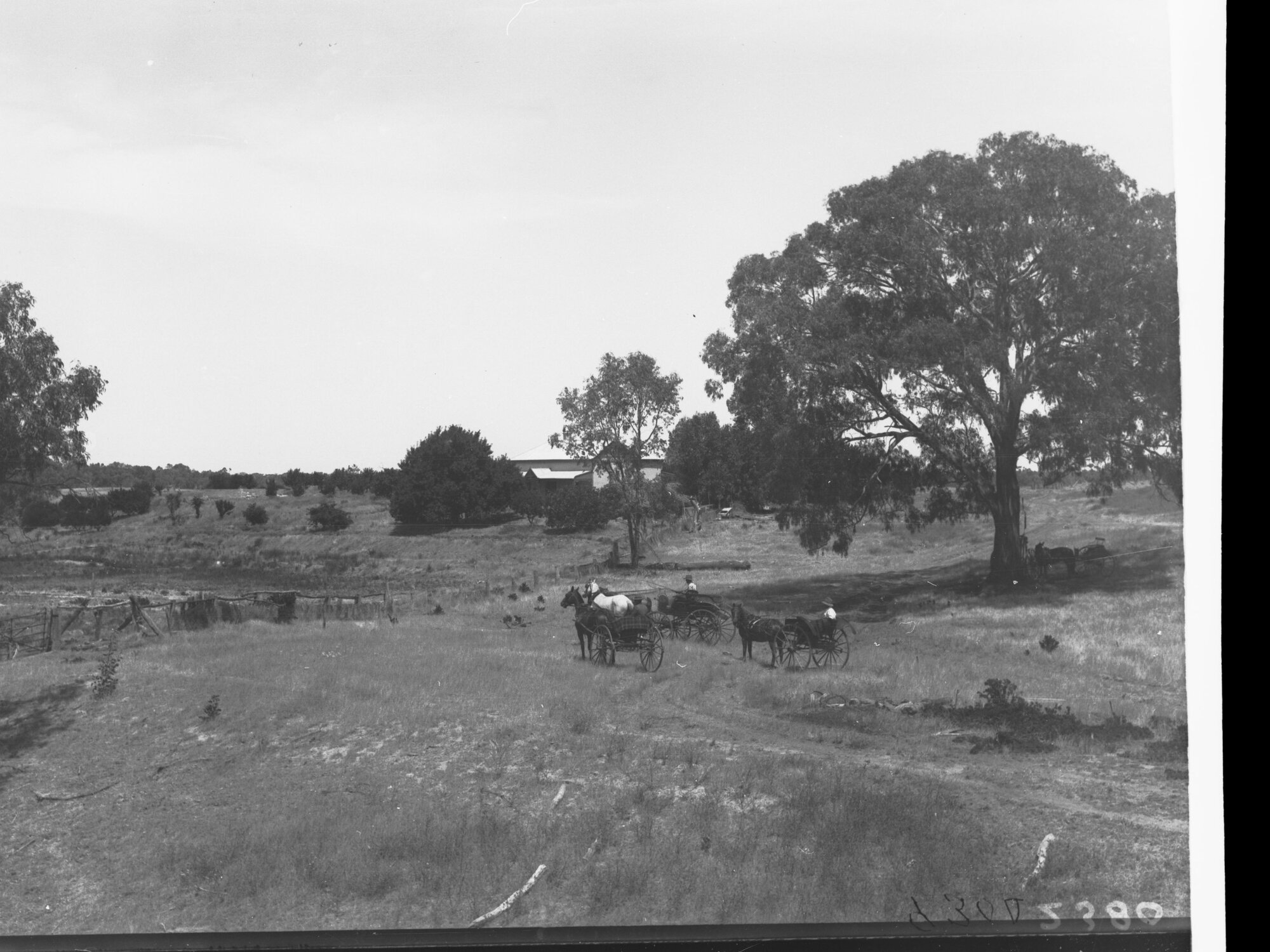 Horses and Carts near farm