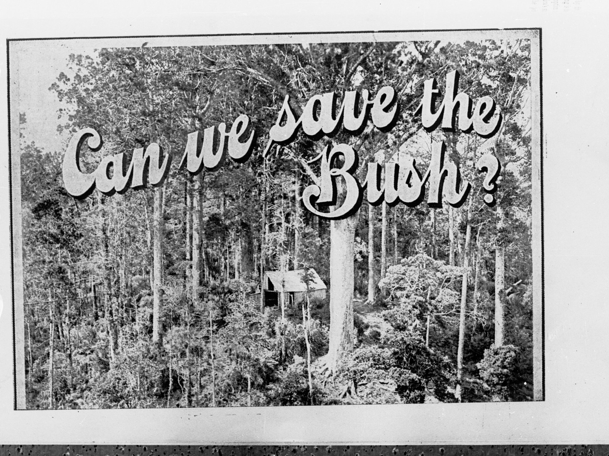 Poster posing the question of bushfire prevention to the public - captioned "Can we save the Bush?"