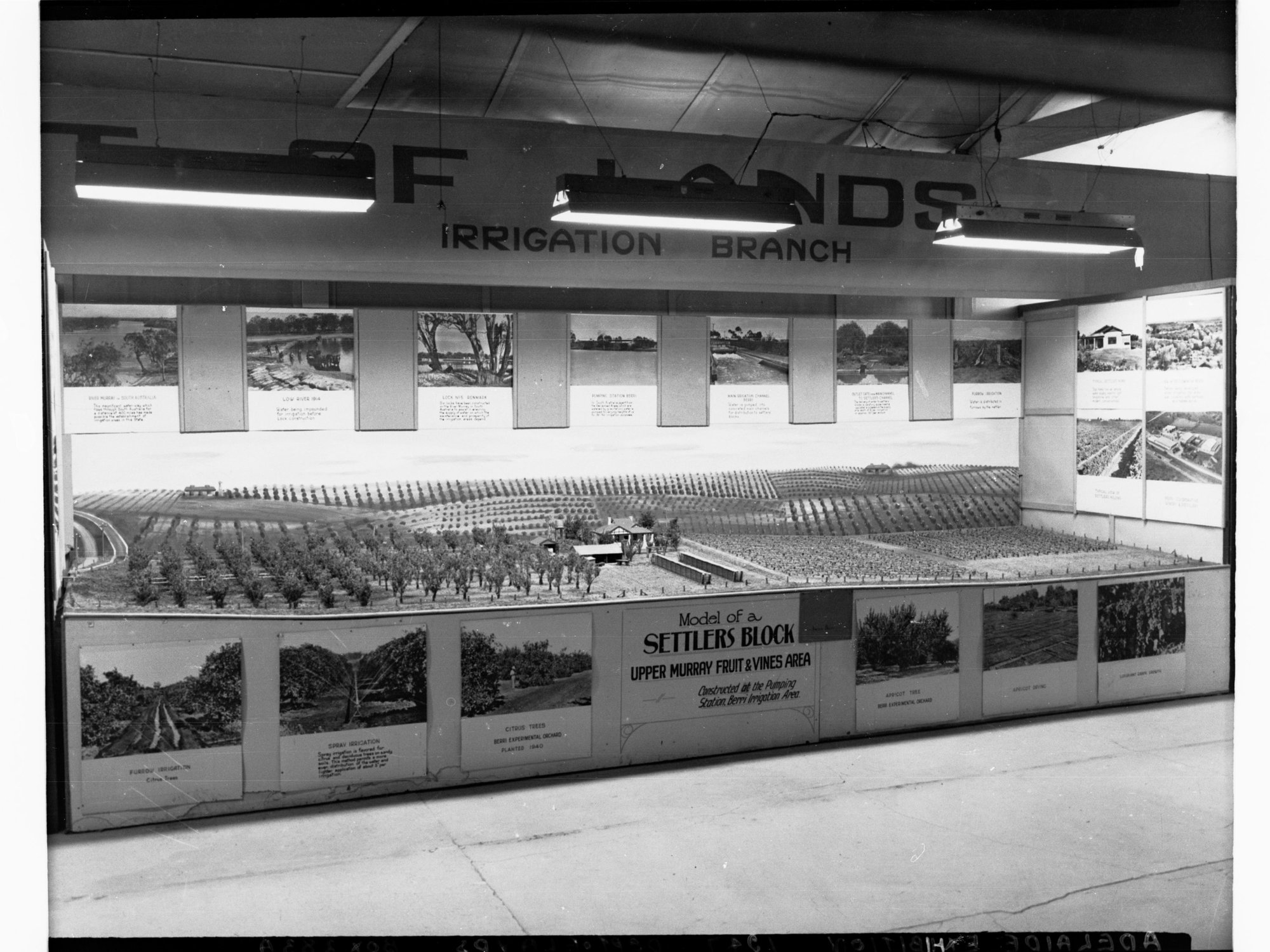 Adelaide Exhibition - Department of Lands Display - Irrigation Branch