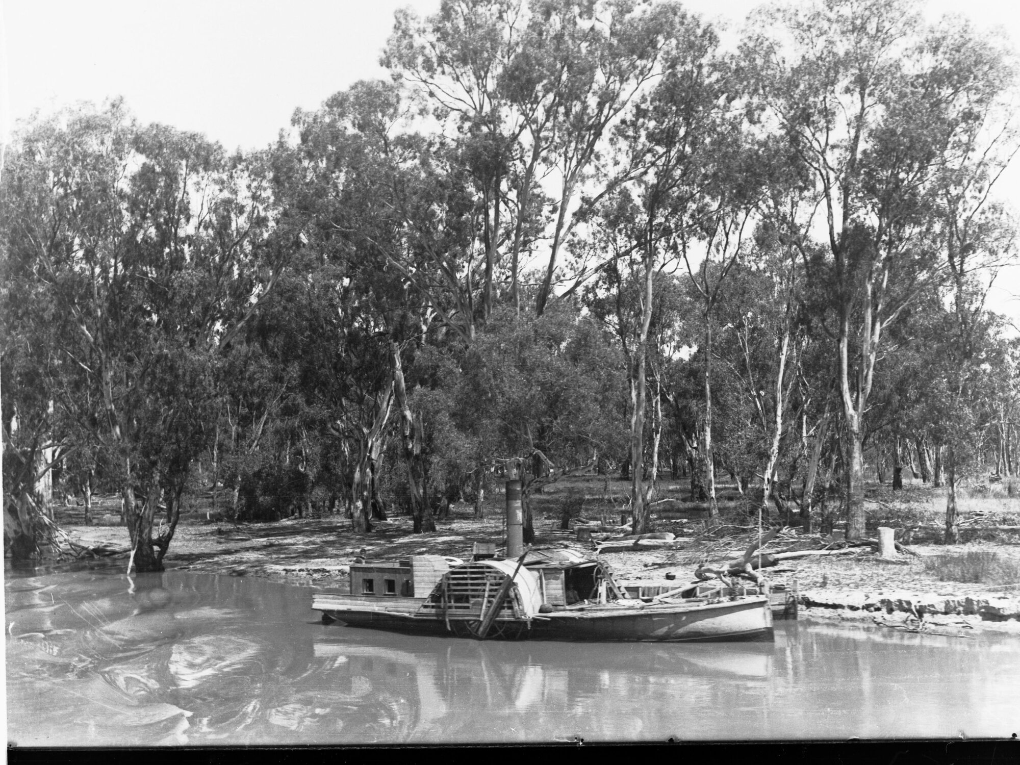 Houseboat paddlesteamer on River Murray