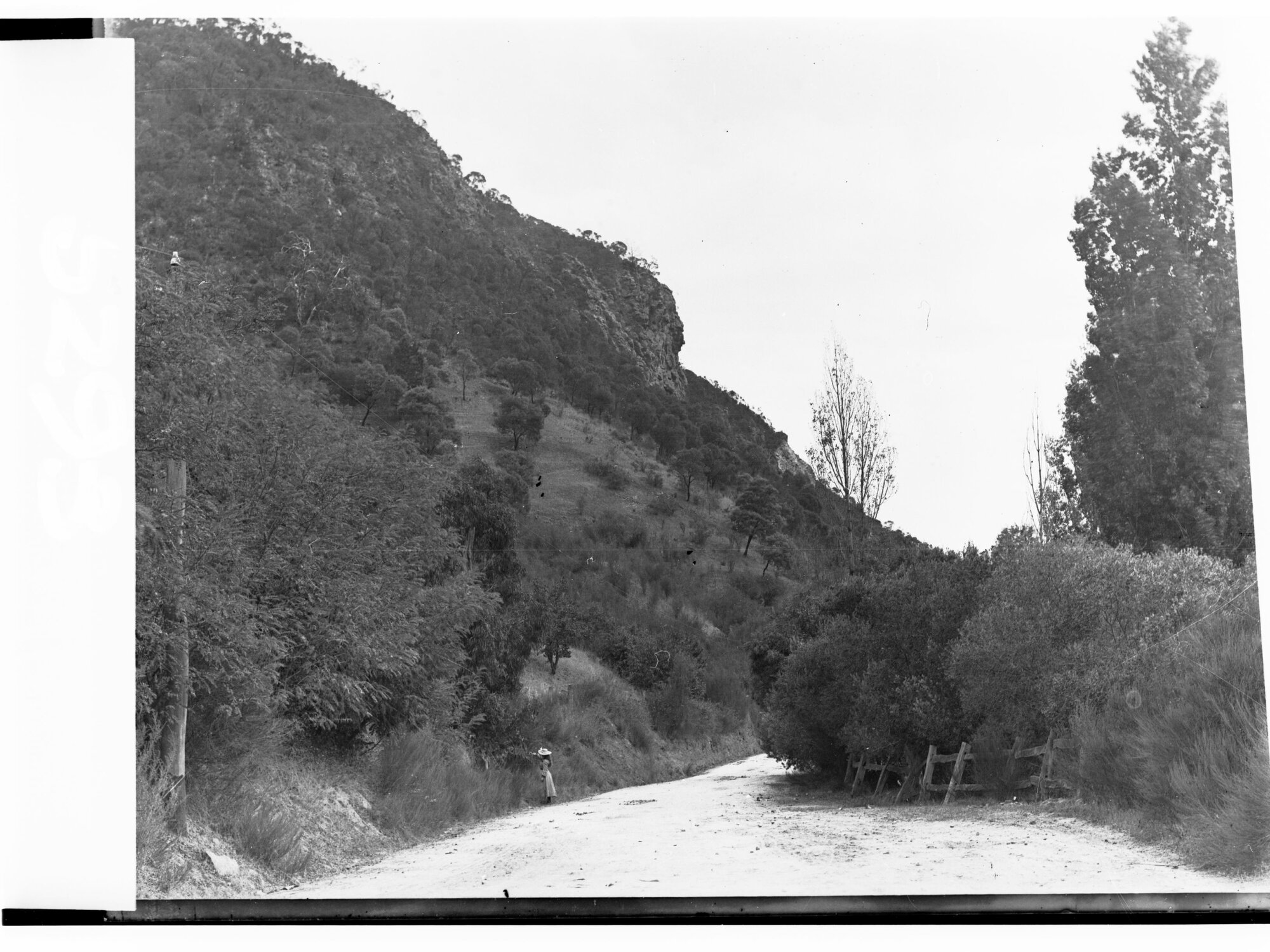 Wellington's Head Rock at Norton Summit