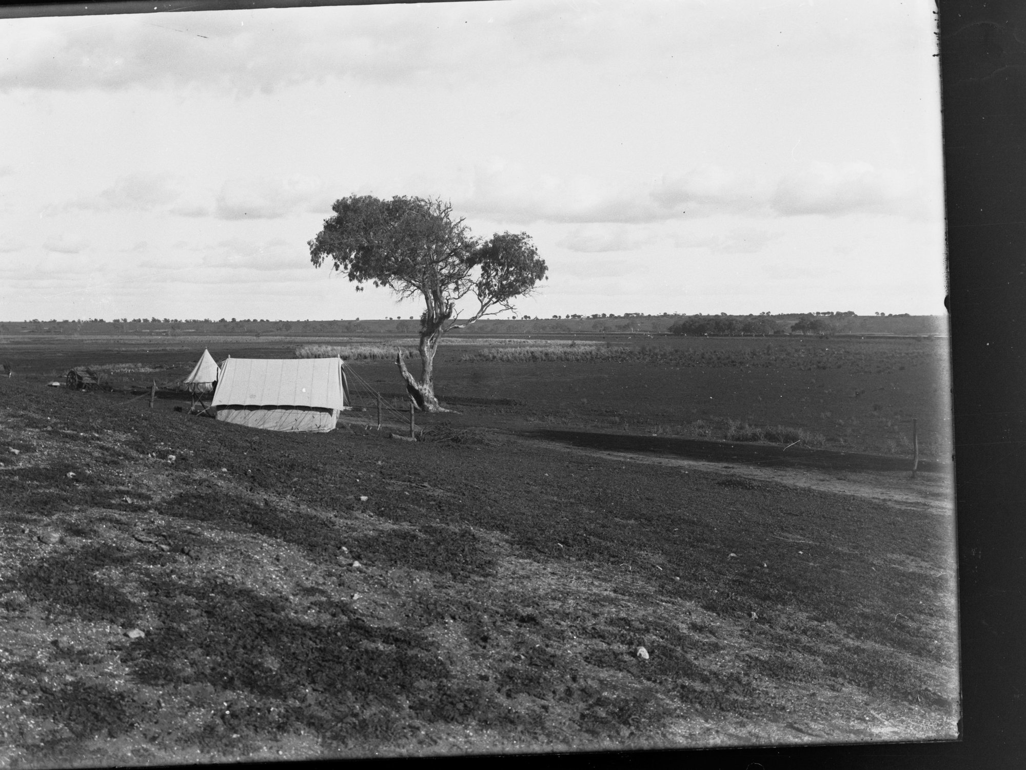 Murray River view,  two tents and a cart
