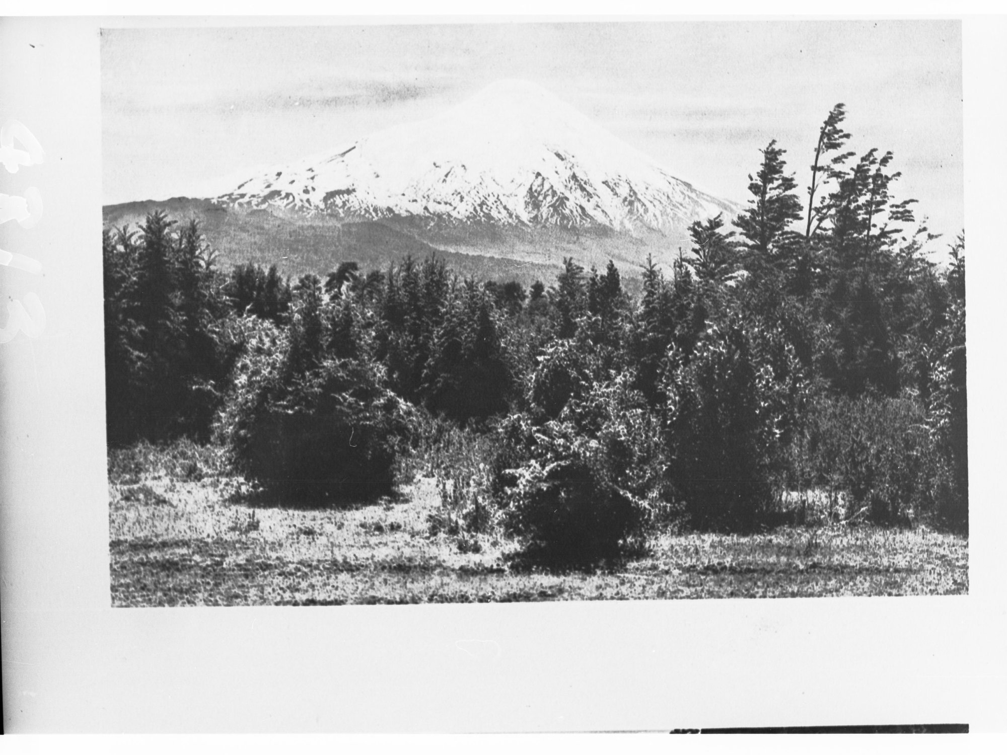 Forest and Mountains in South America
