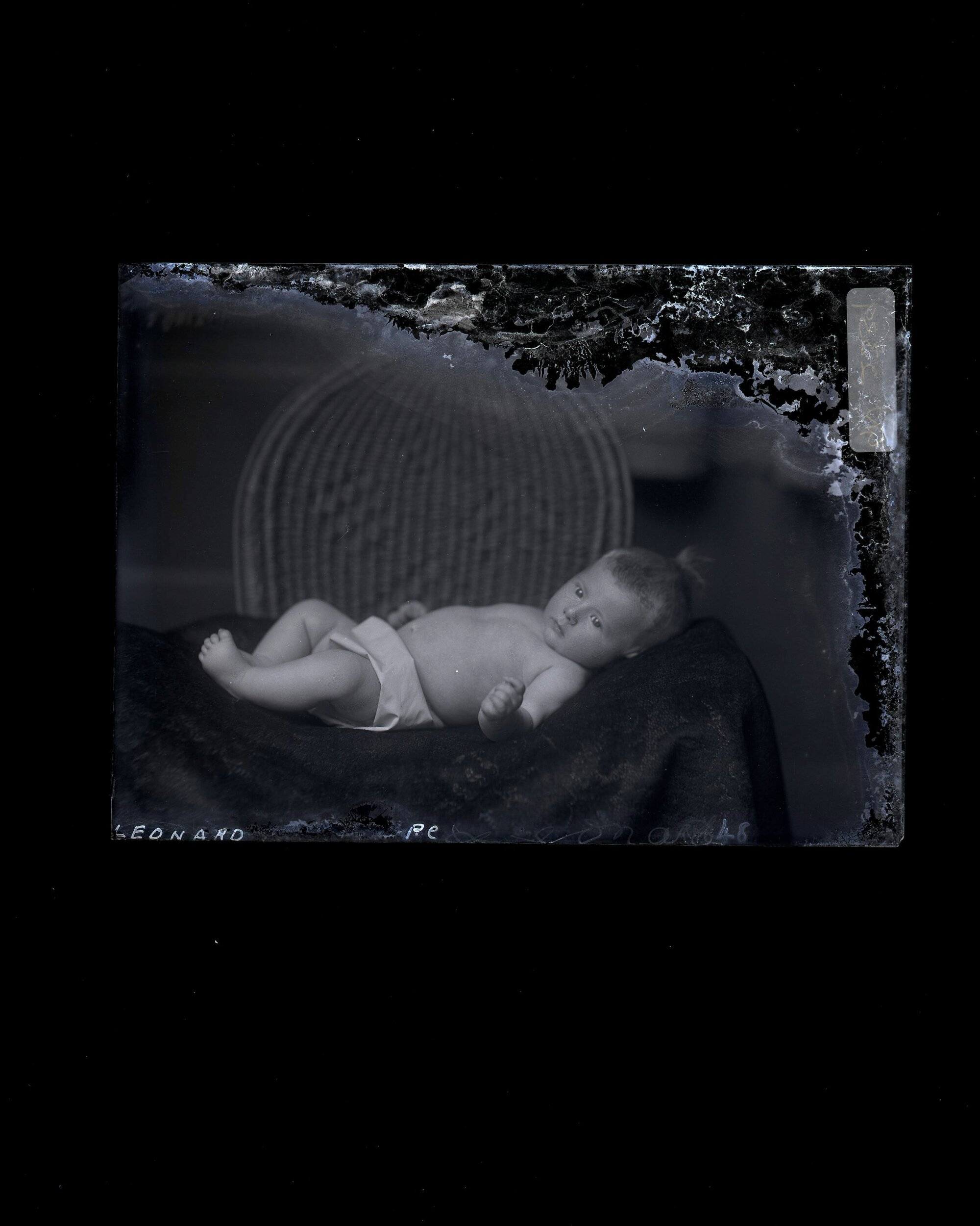 Infant - Leonard