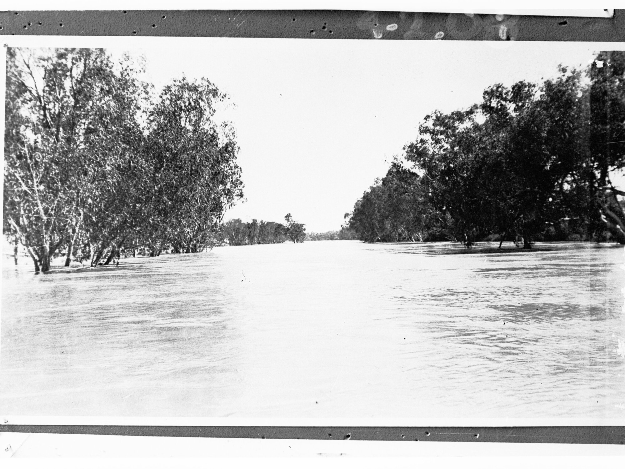 A river in flood