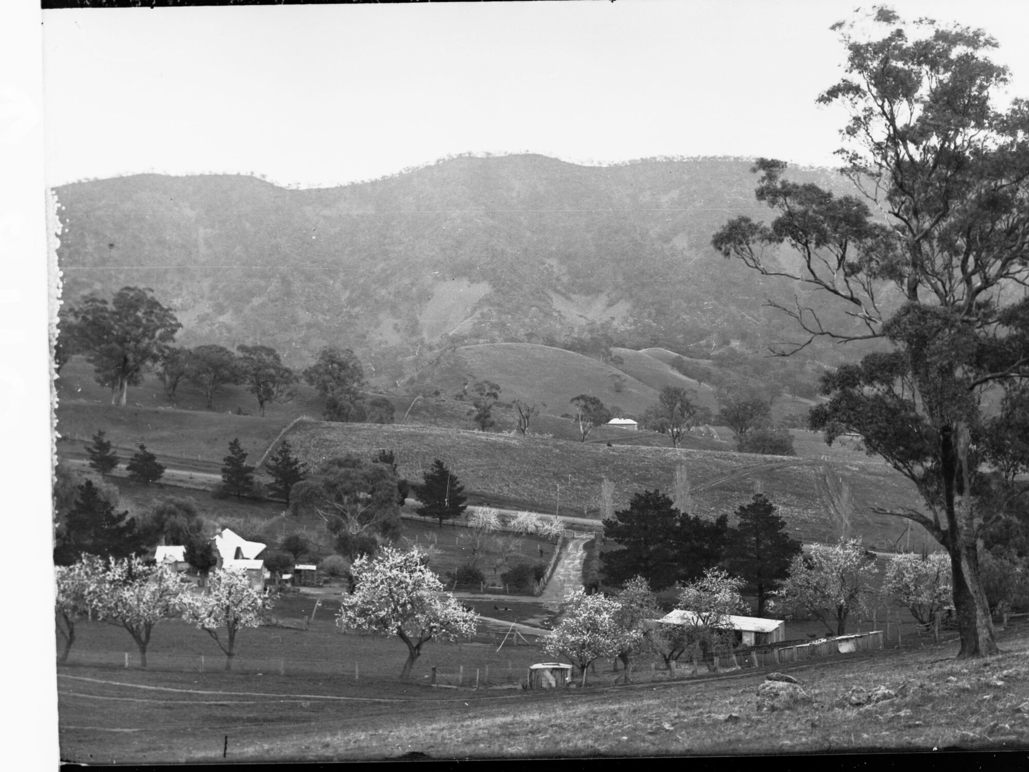 Melrose Showing Mount Remarkable in the Background