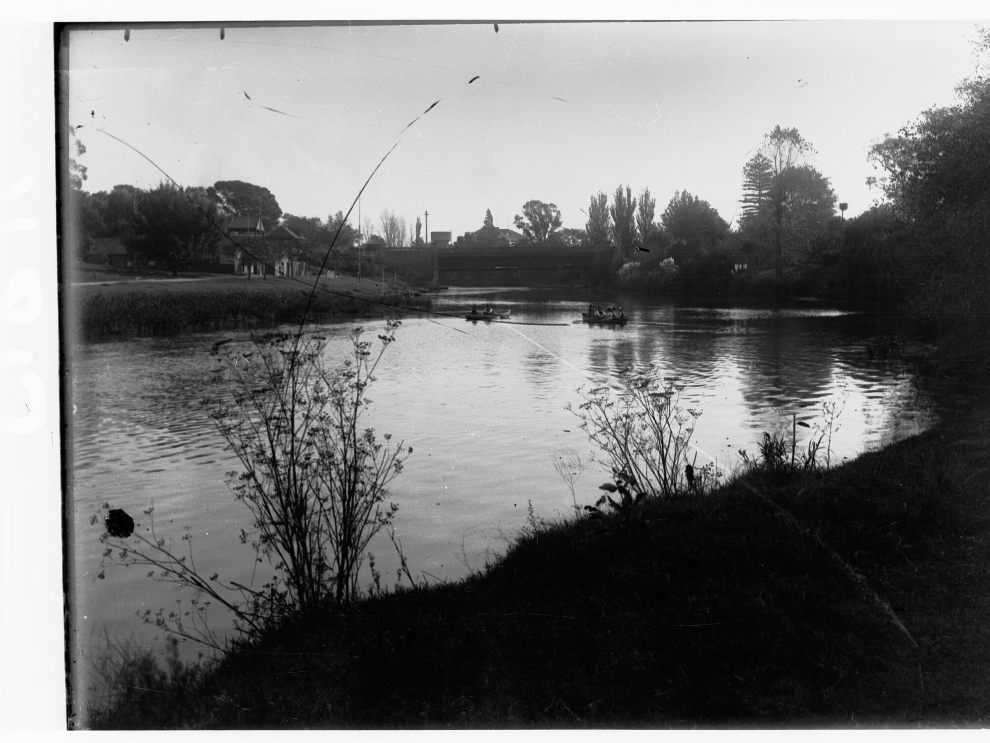 Rowboats on River Torrens