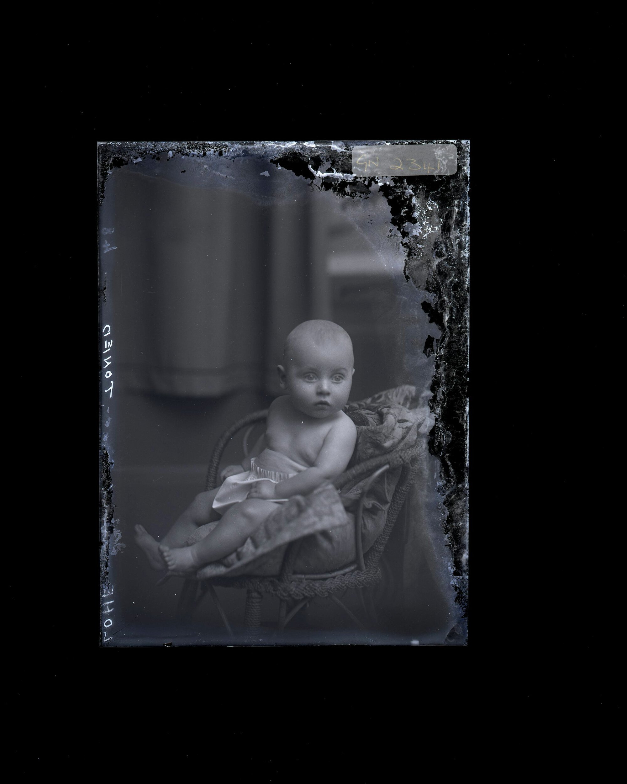Infant - Lohf