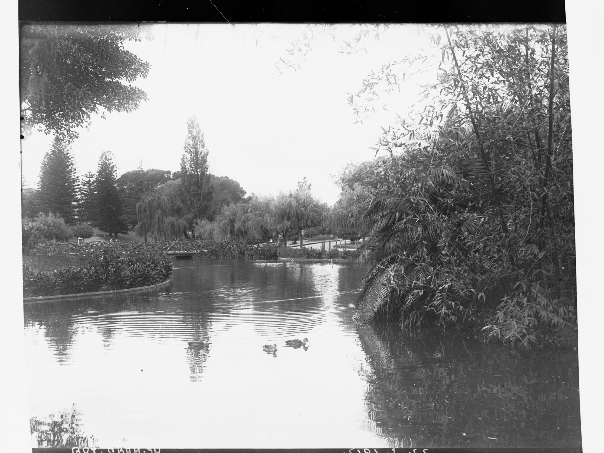 View of the Botanic Gardens