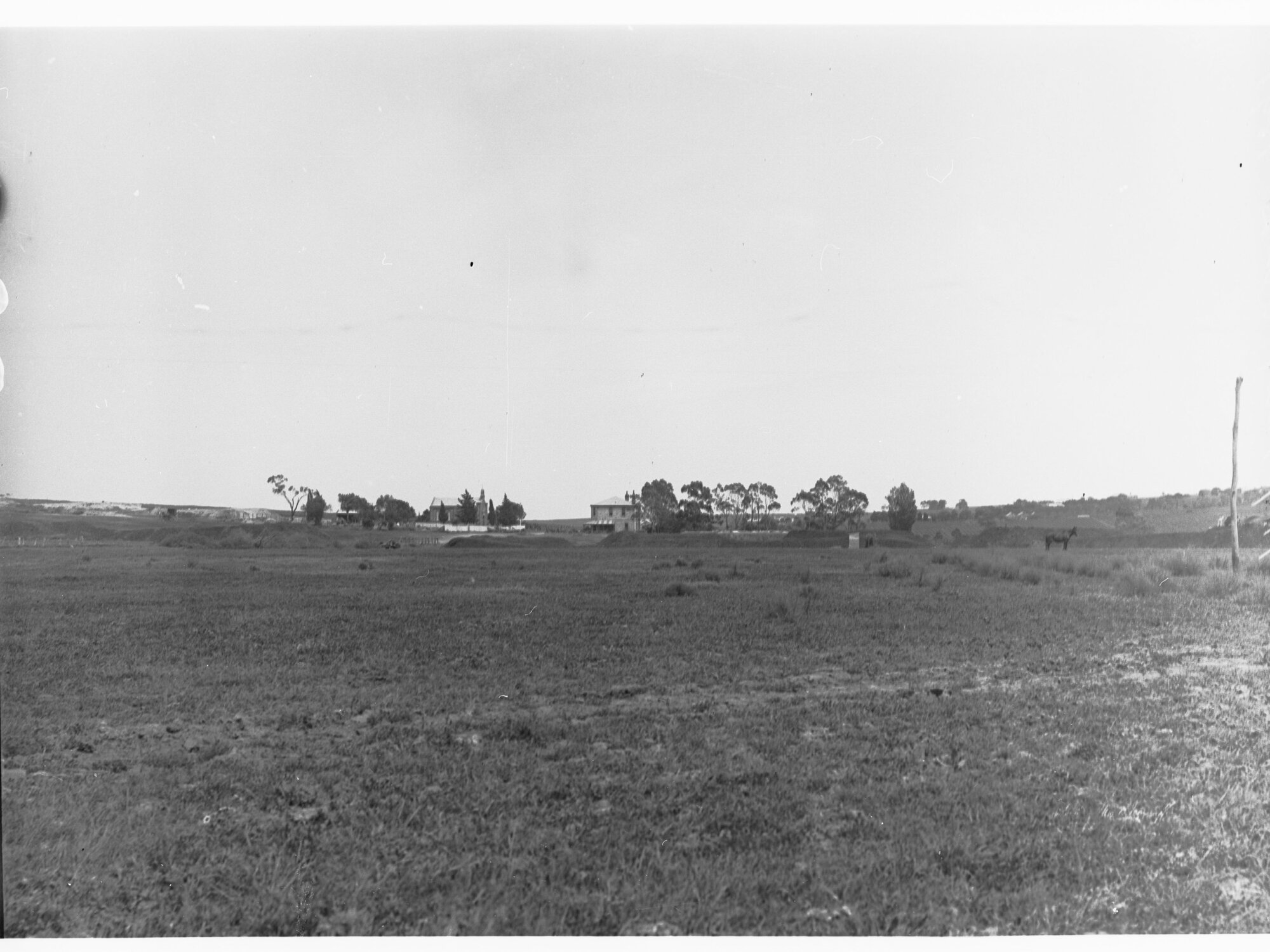 Rural view of Happy Valley - donkey and farmhouse in distance
