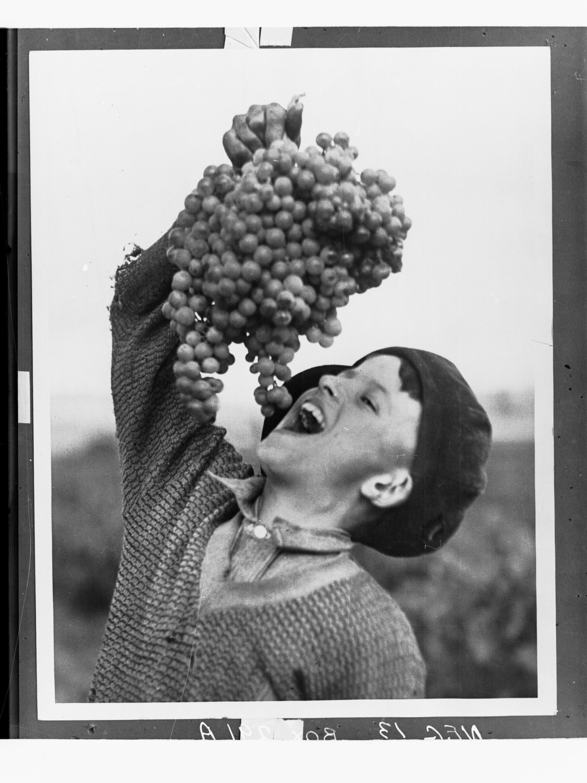 Young boy eating a bunch of grapes