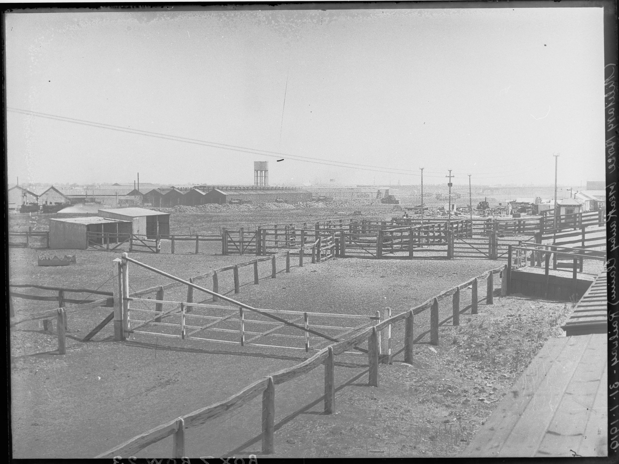 Stockyards - caption Military Horse Breakaway Claims Railway location unknown