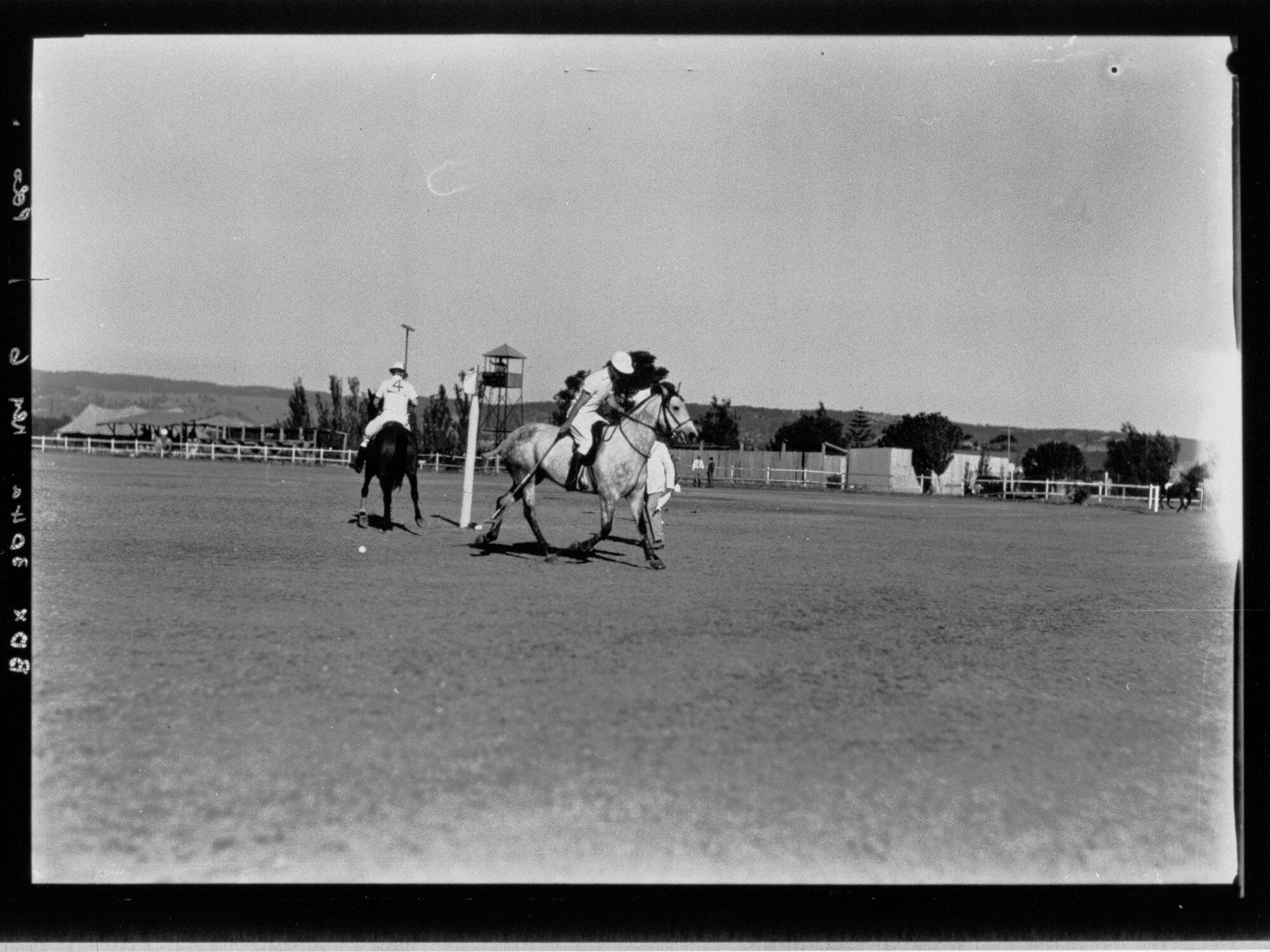 Polo Match