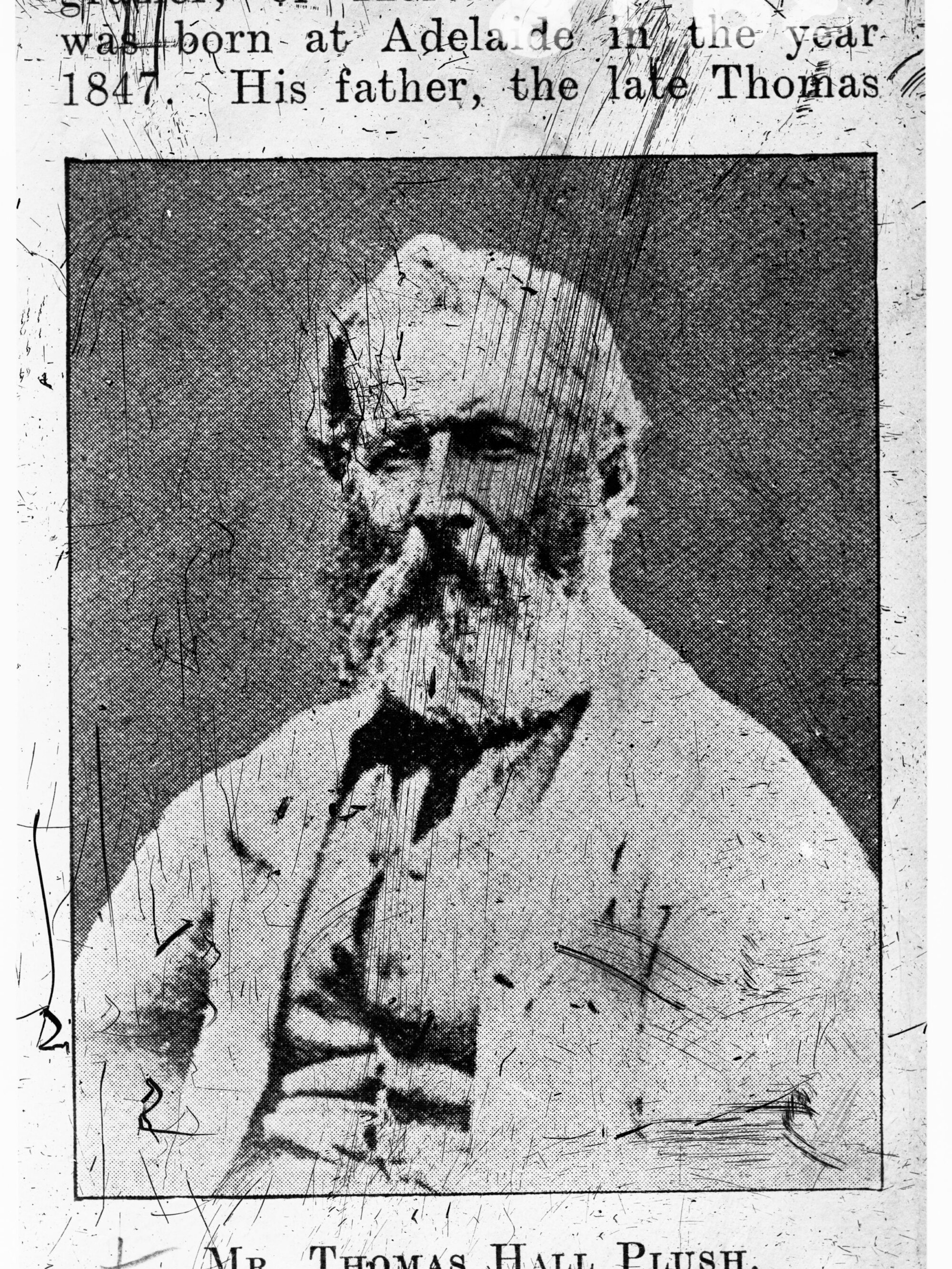 Portrait of Mr Thomas Hall Plush