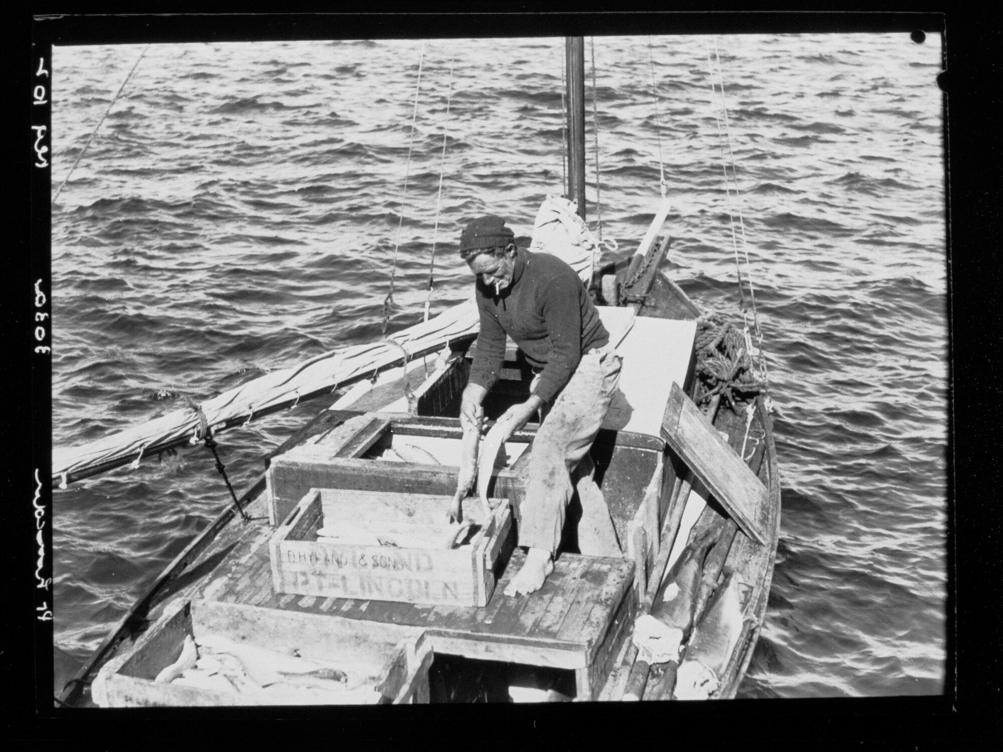 Man in fishing boat, Port Lincoln