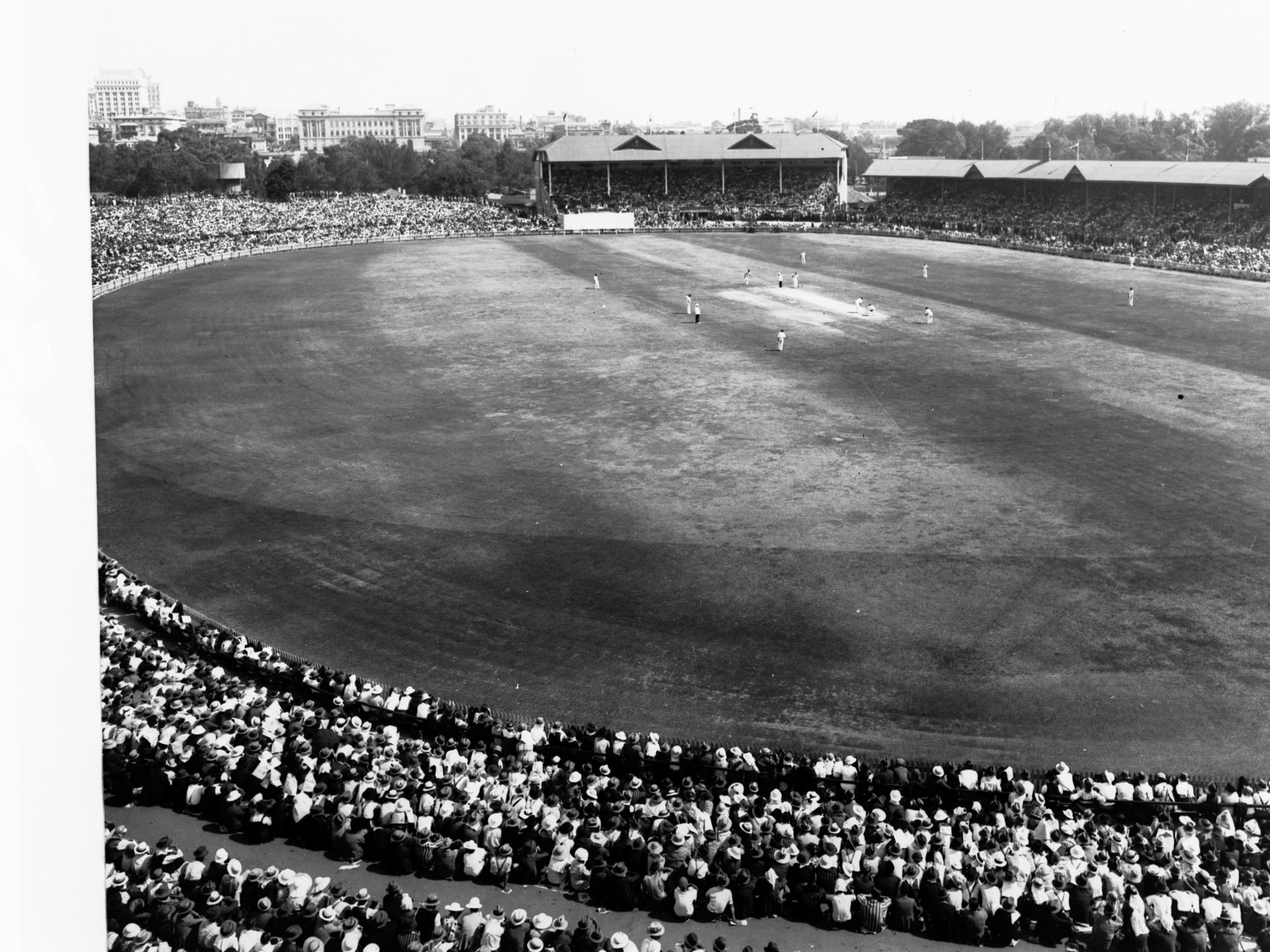 Cricket at Adelaide Oval