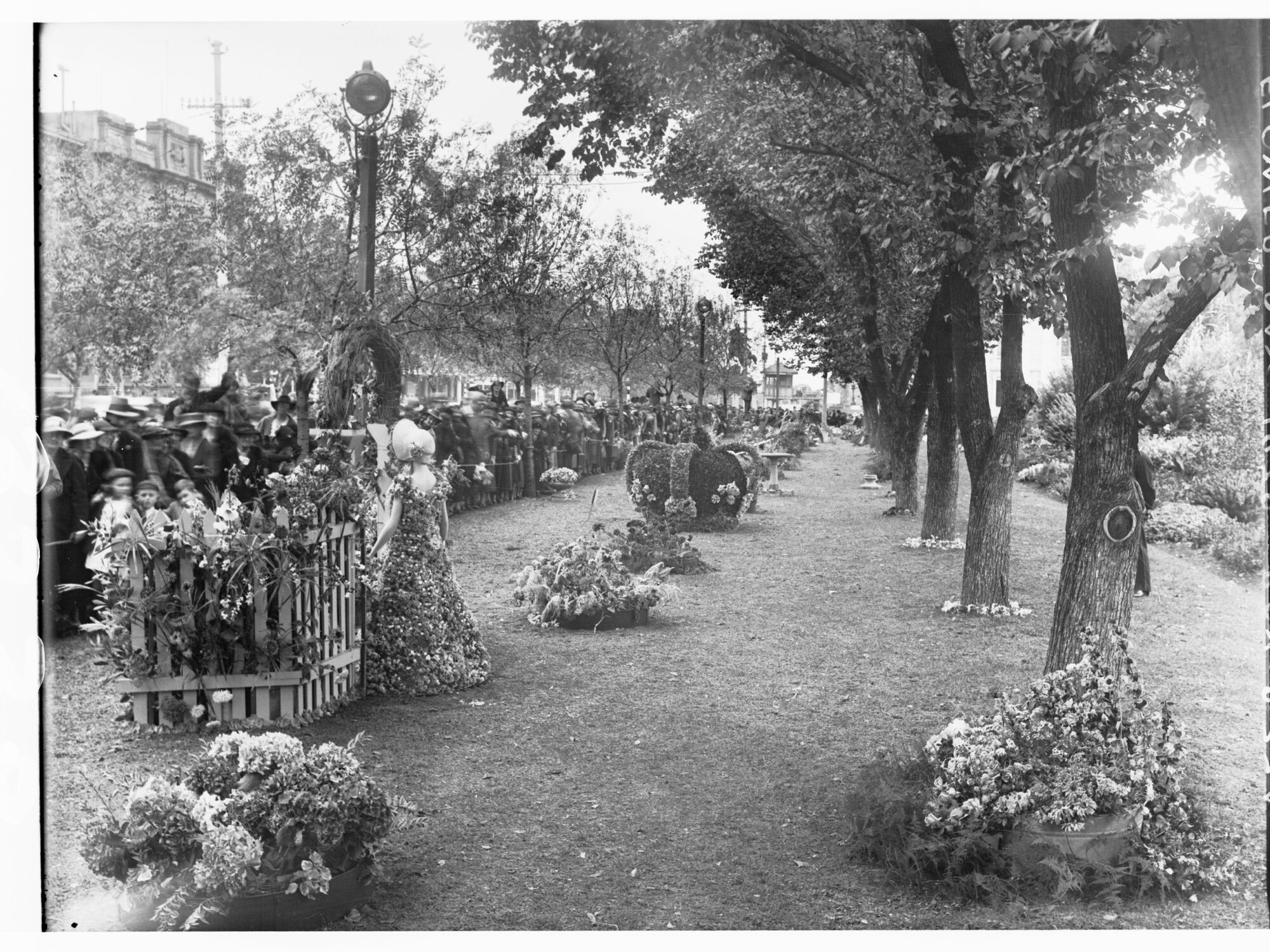 Flower Day Display on North Terrace