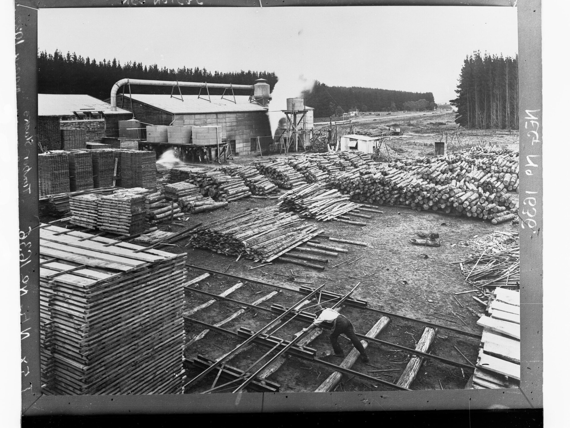Timber Stacks at Mount Burr Mill