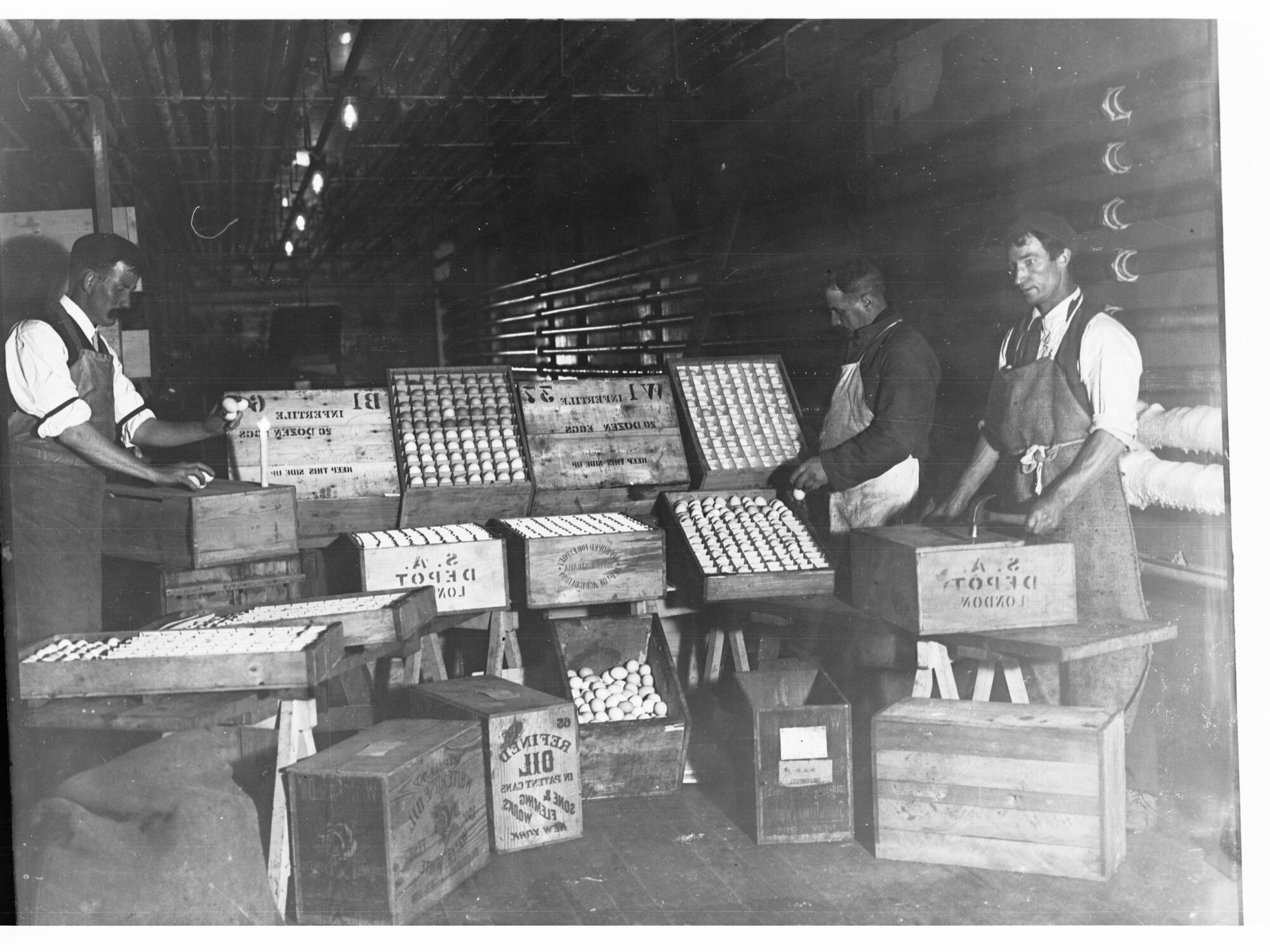 Egg Chamber at Port Adelaide Export Depot