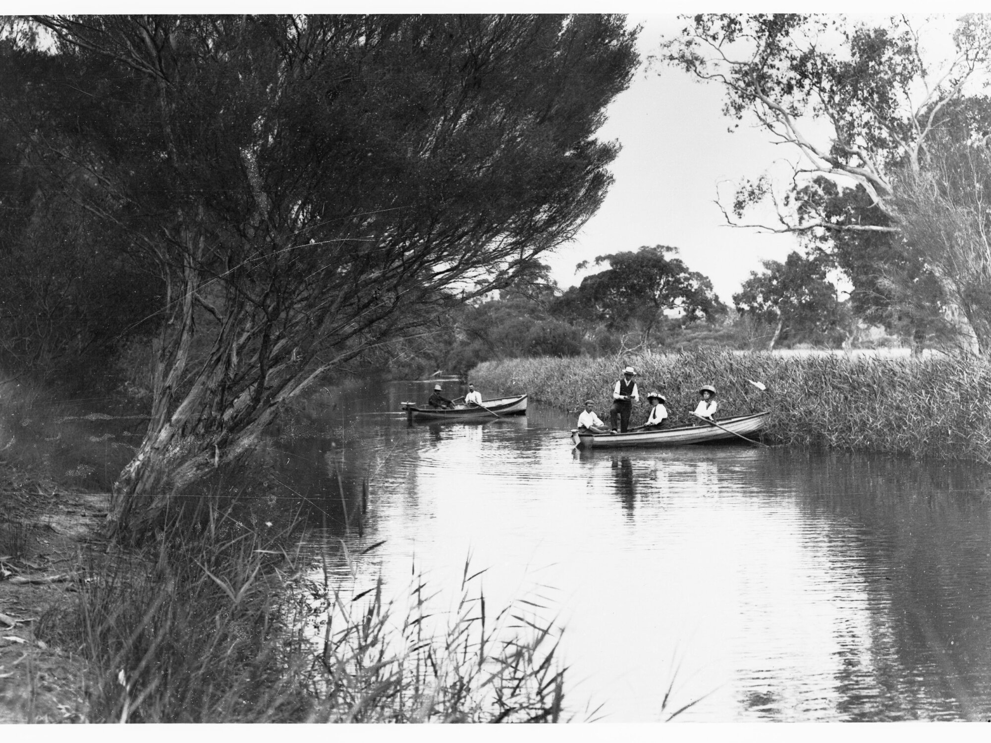 Men and womaen in row boats, Hindmarsh River, Victor Harbor