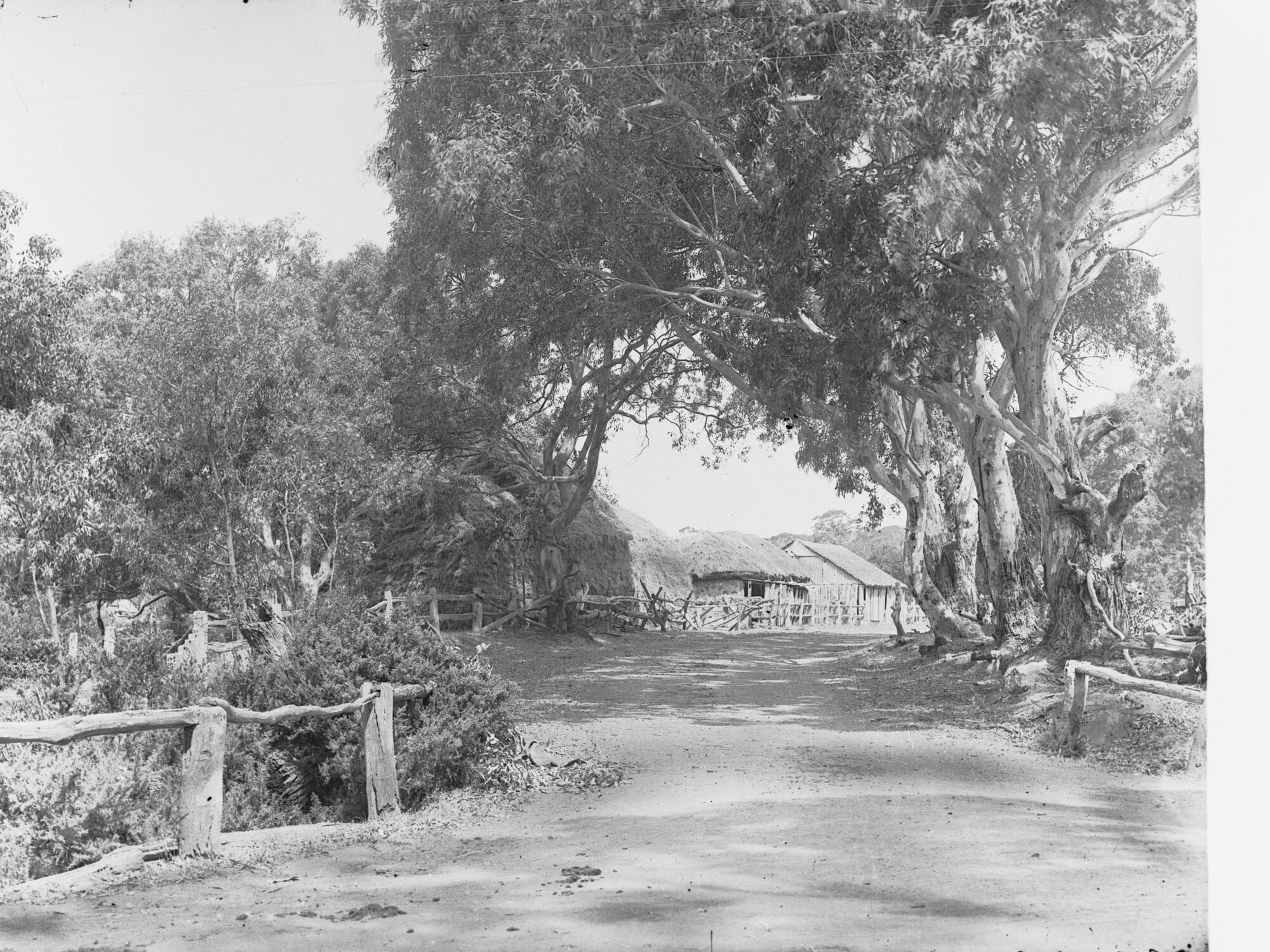 Farm Buildings on a Side Track from Yankalilla Road