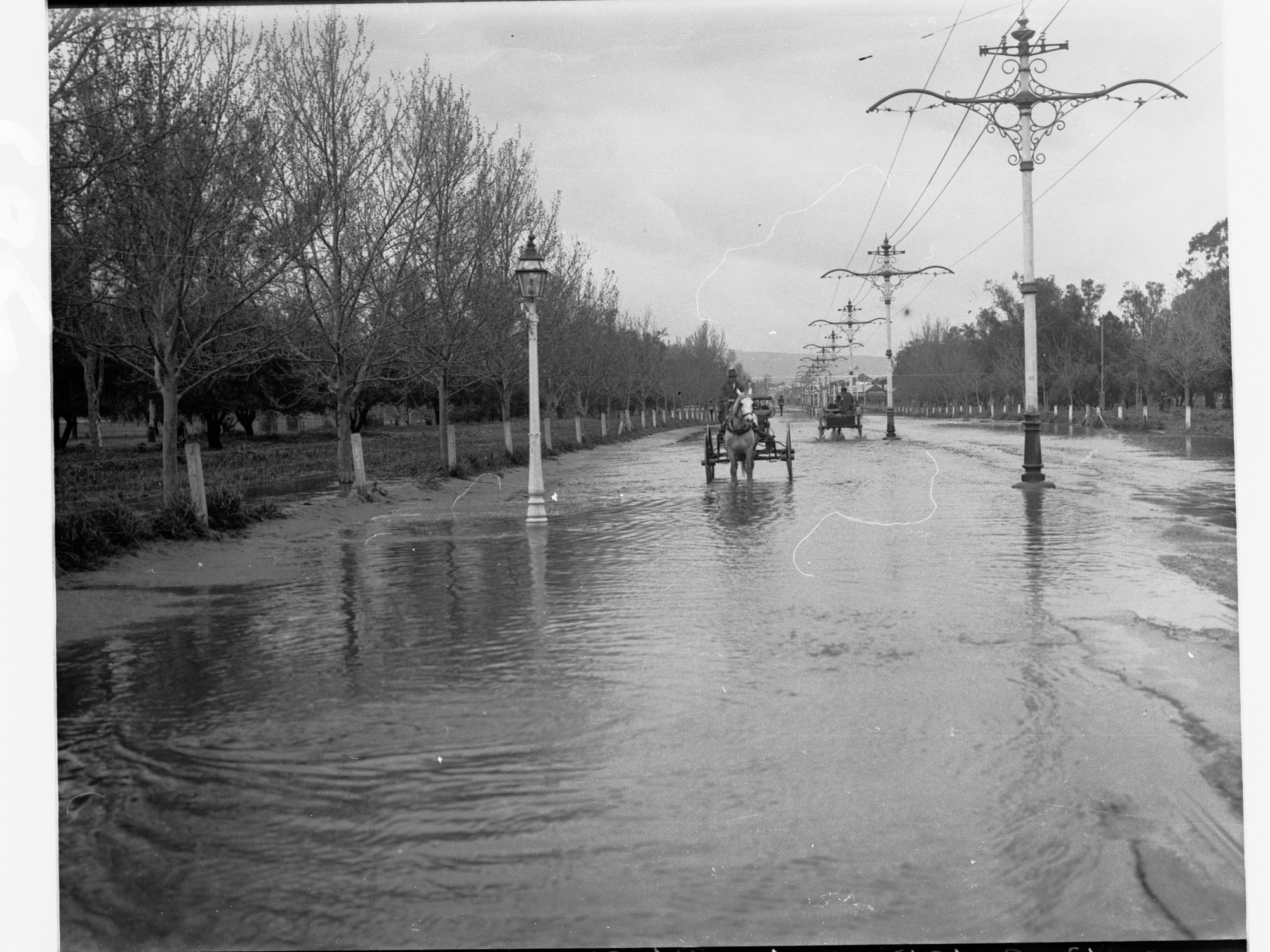 View of flooding in Unley Road  - two carts pulled by horses in middle of road