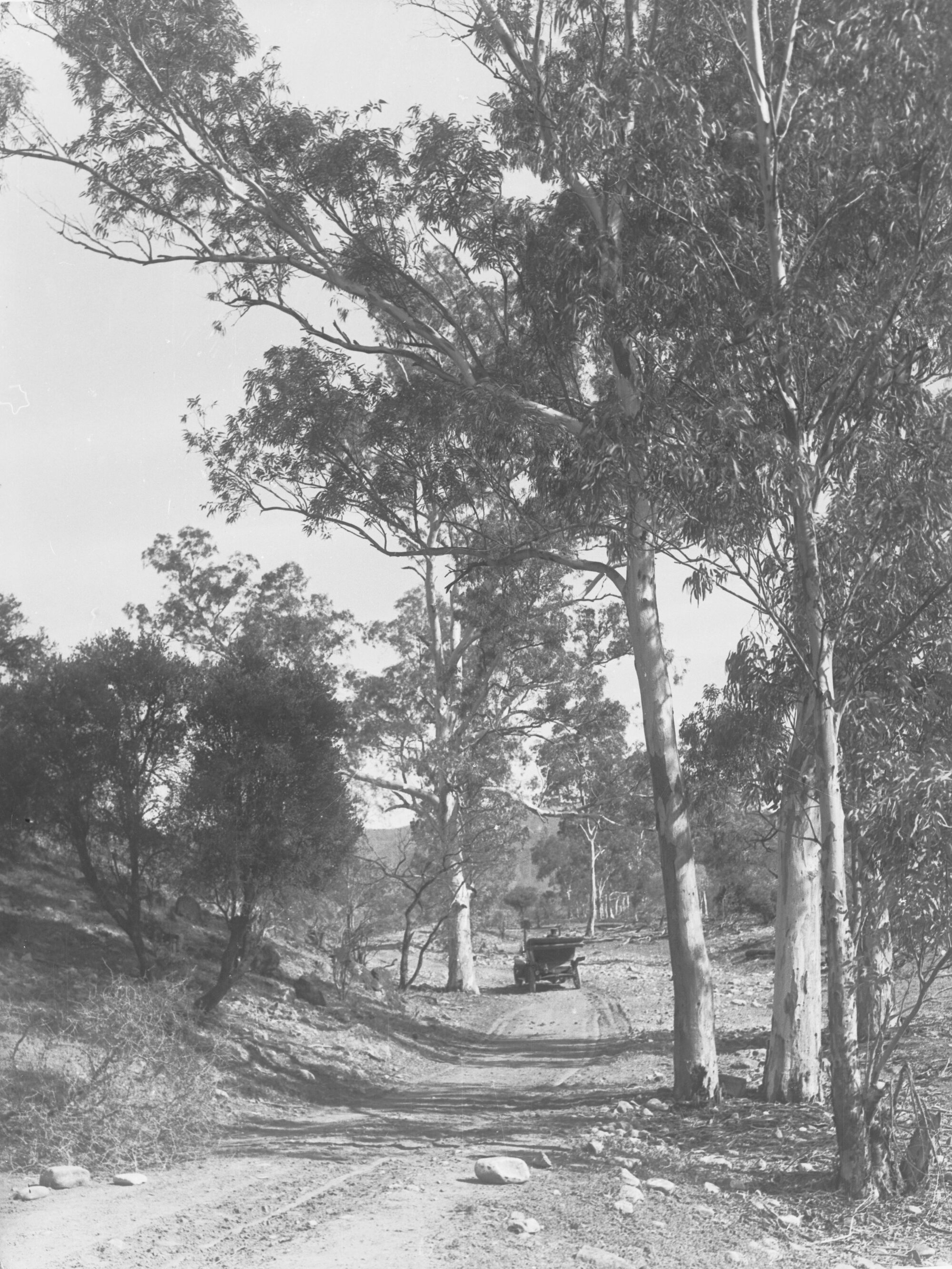 Road to Halowie from McKinley Creek