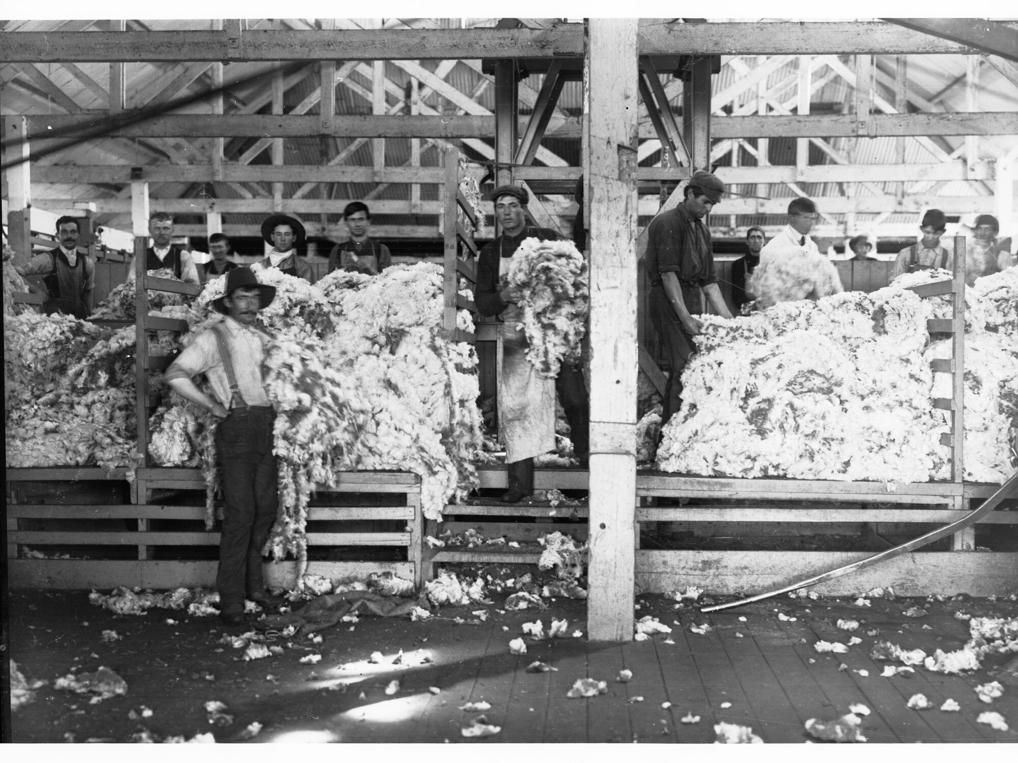 Wool Classing at Hill River Station
