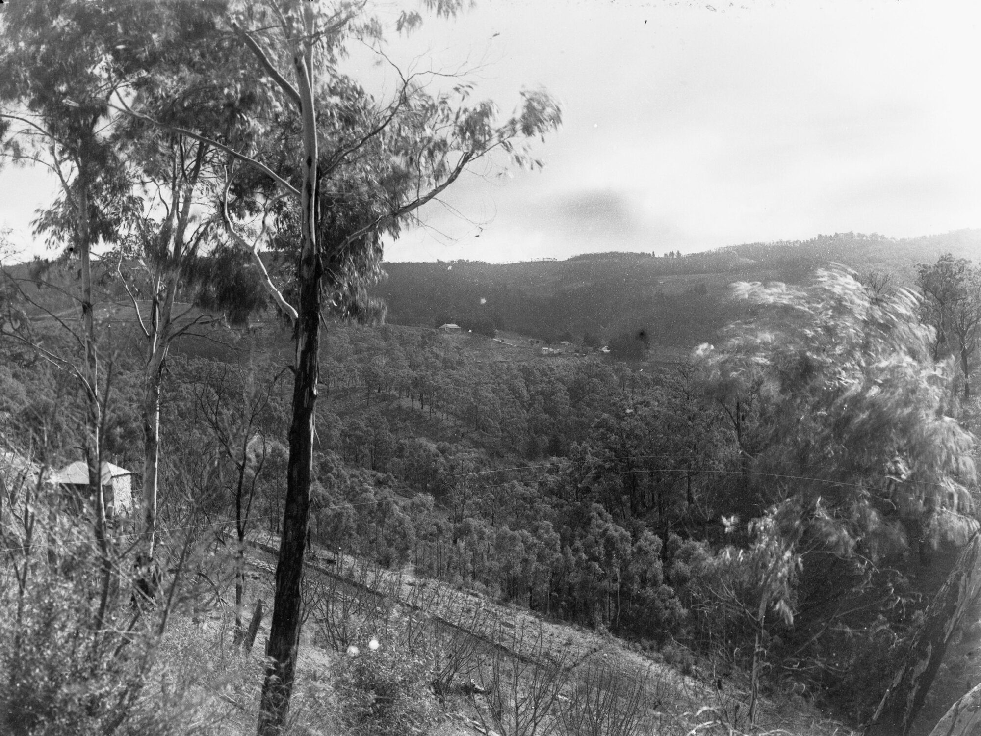 Mount Lofty ranges
