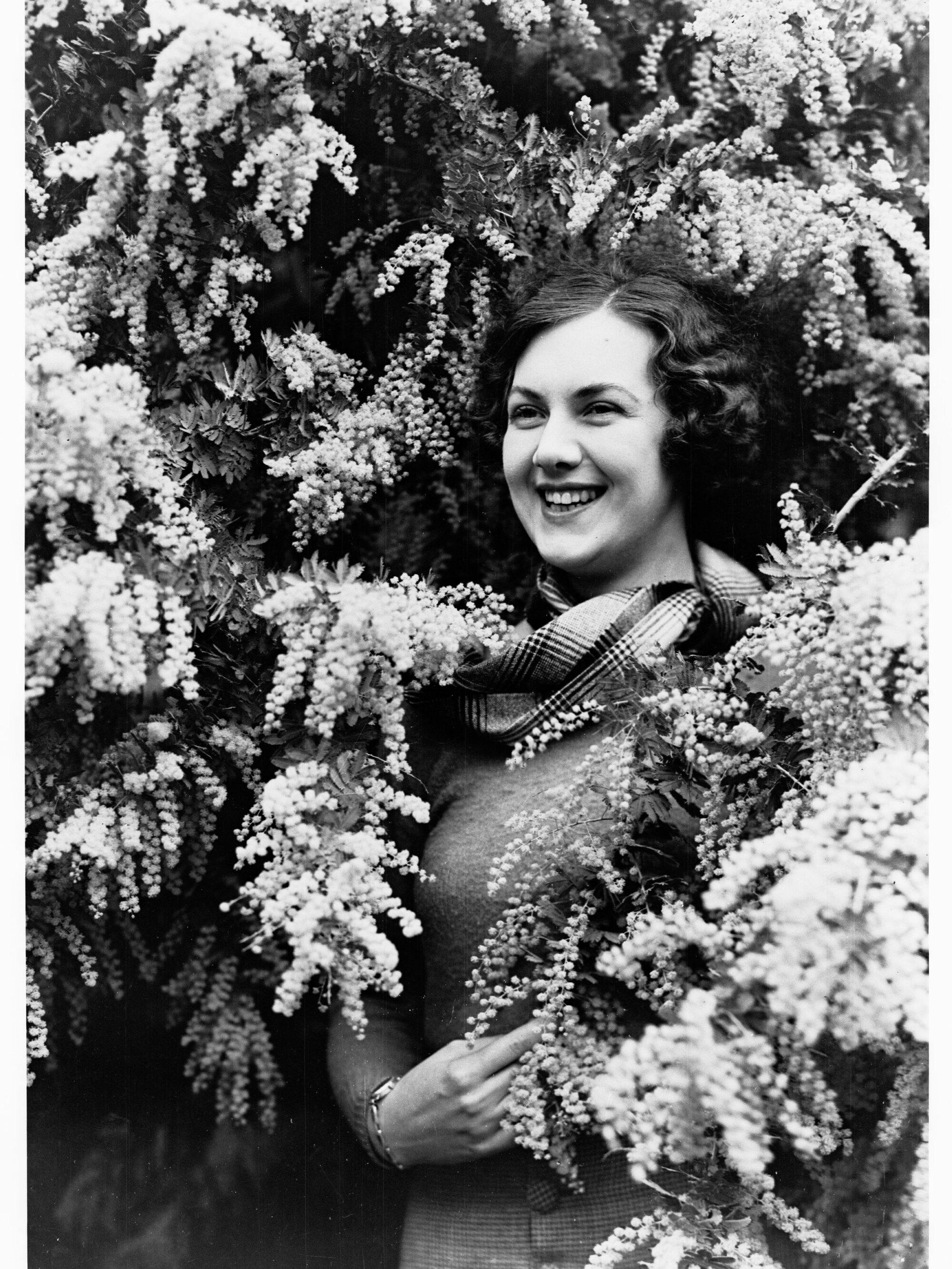 Wattle Blossom