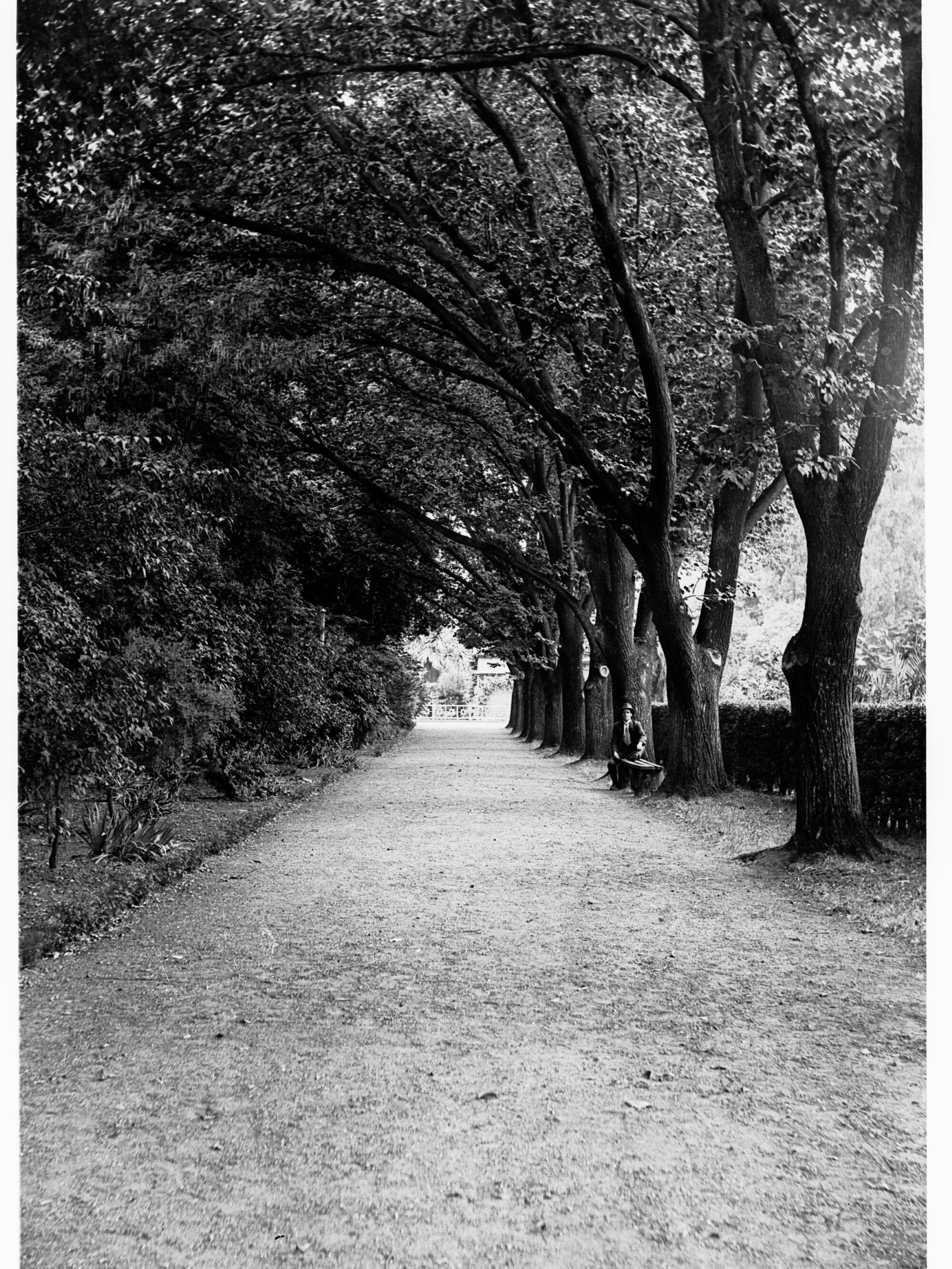 Man in Botanic Gardens