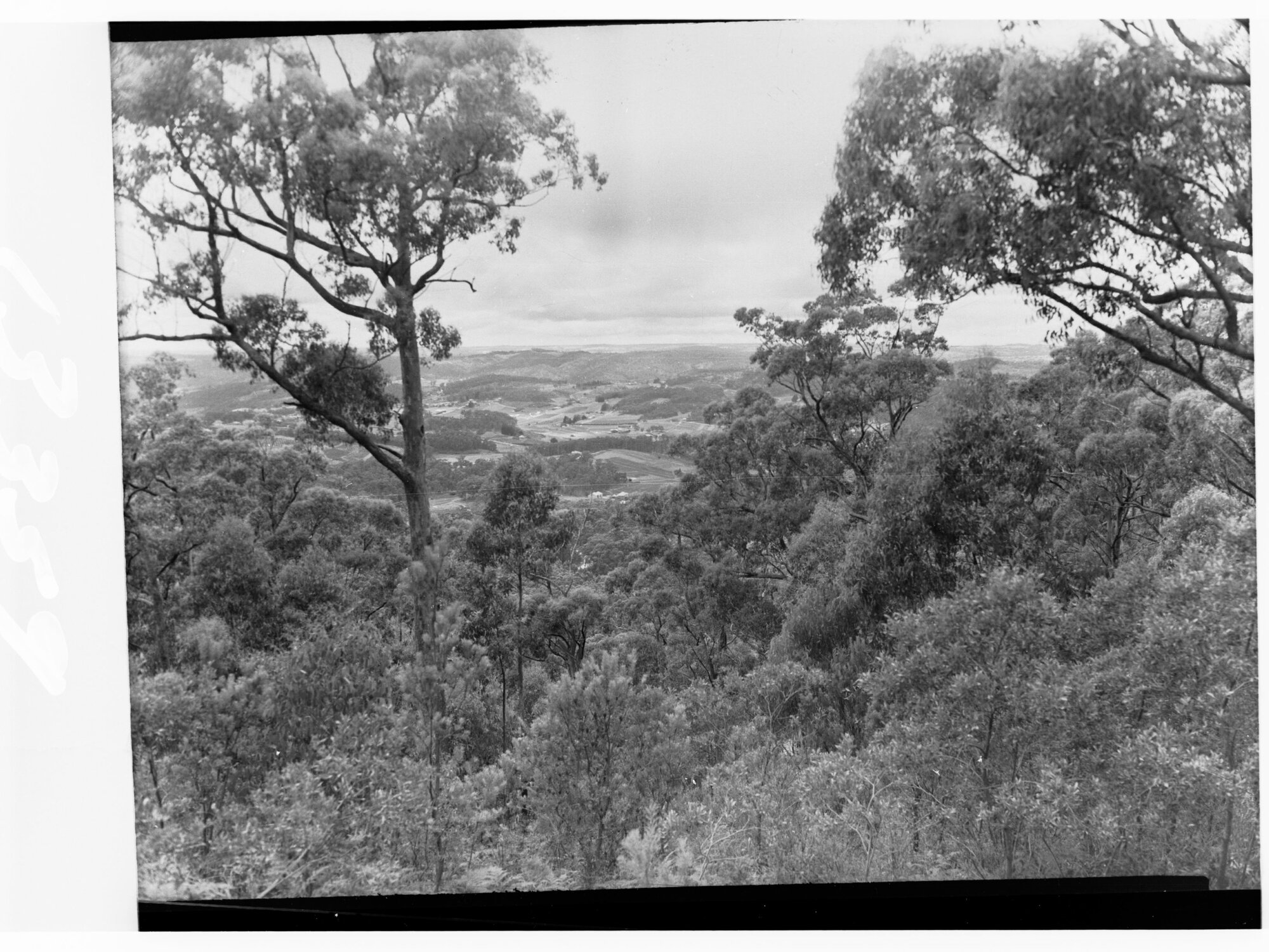 Mount Lofty