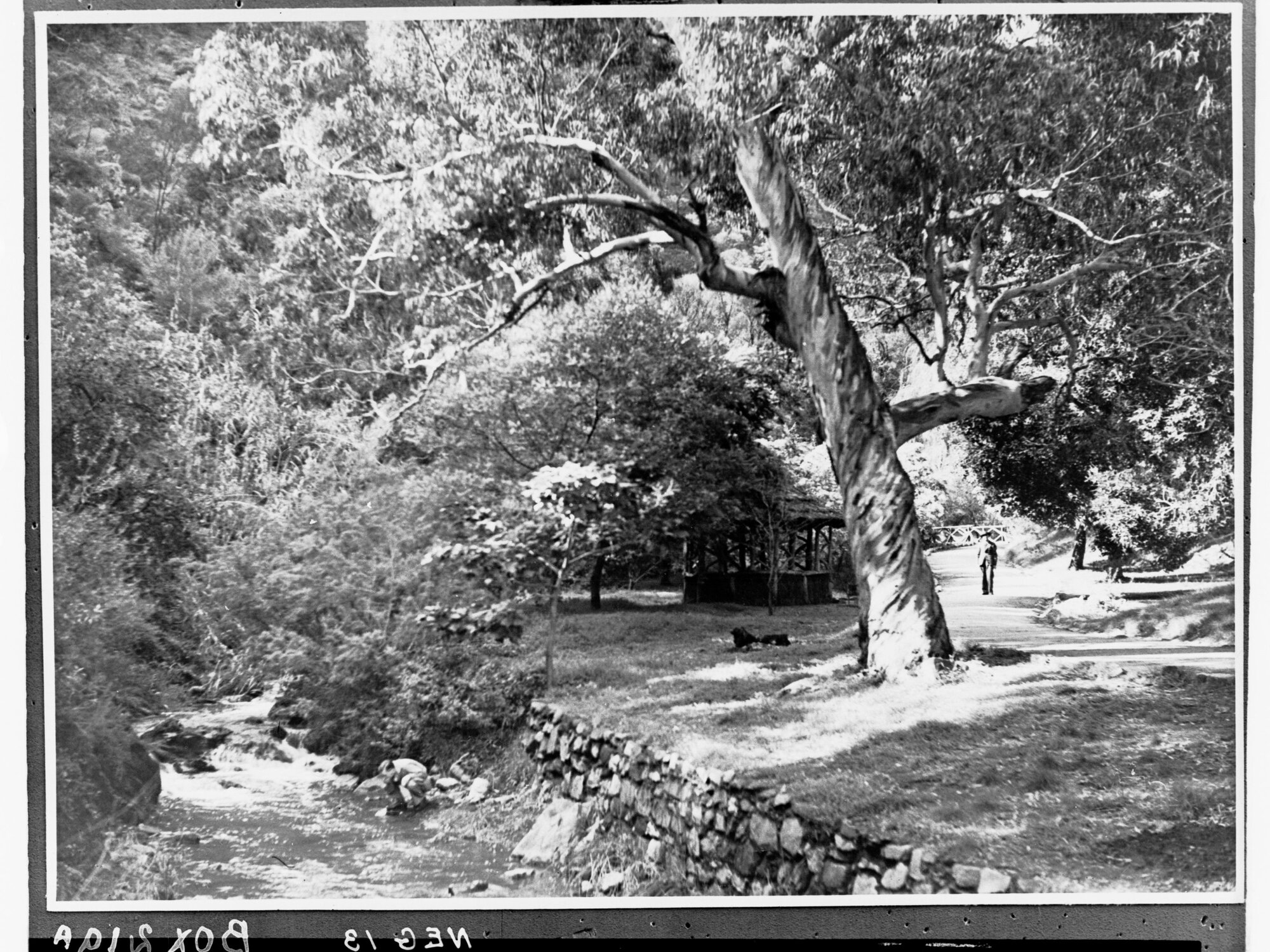 Morialta
