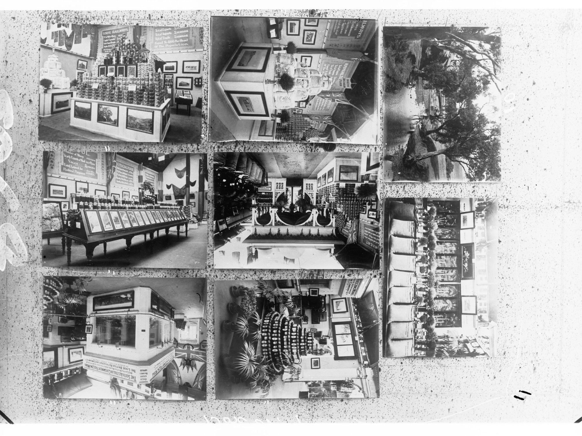 Displays of Agricultural Produce