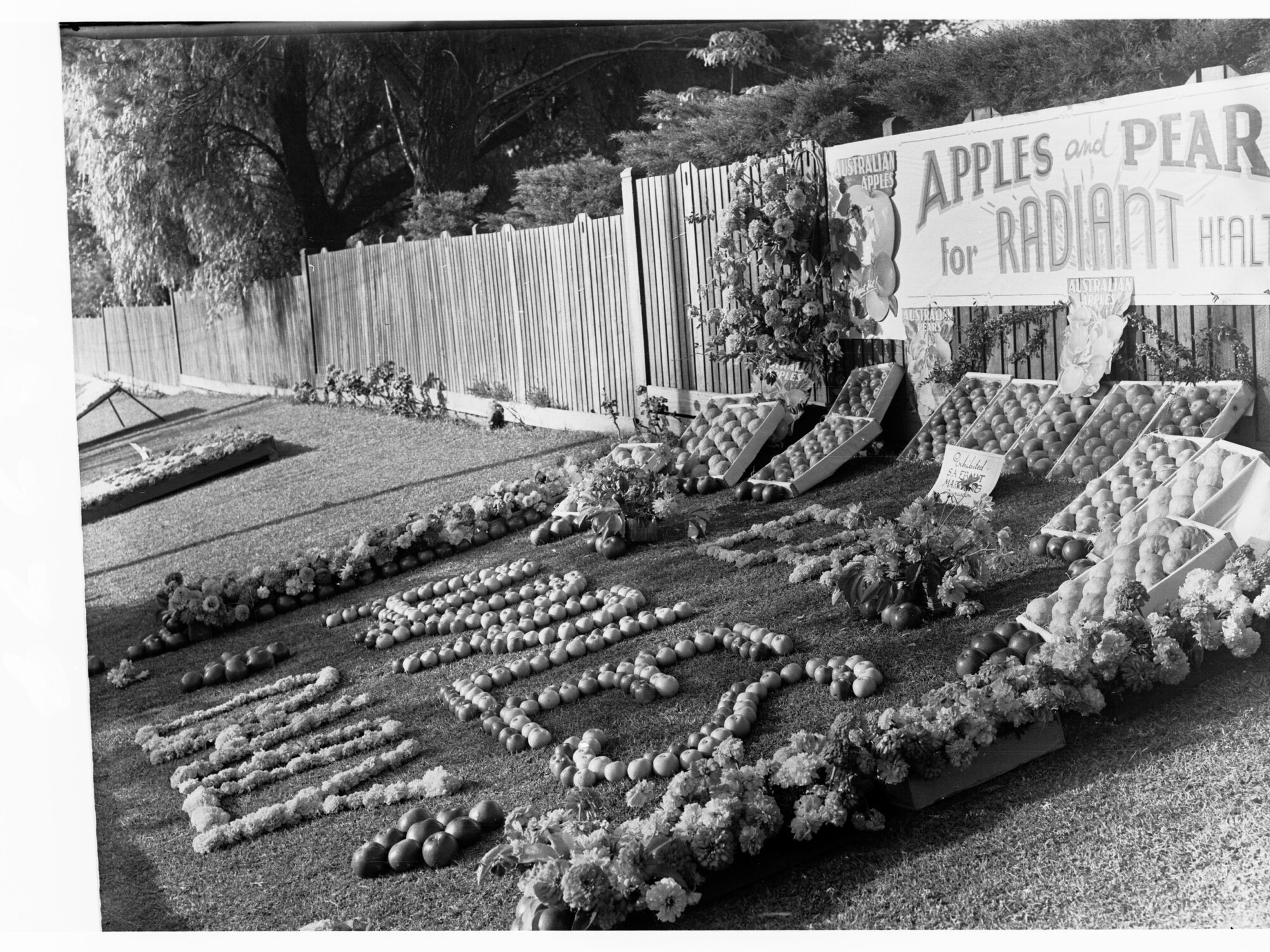 Apple display, Flower Day