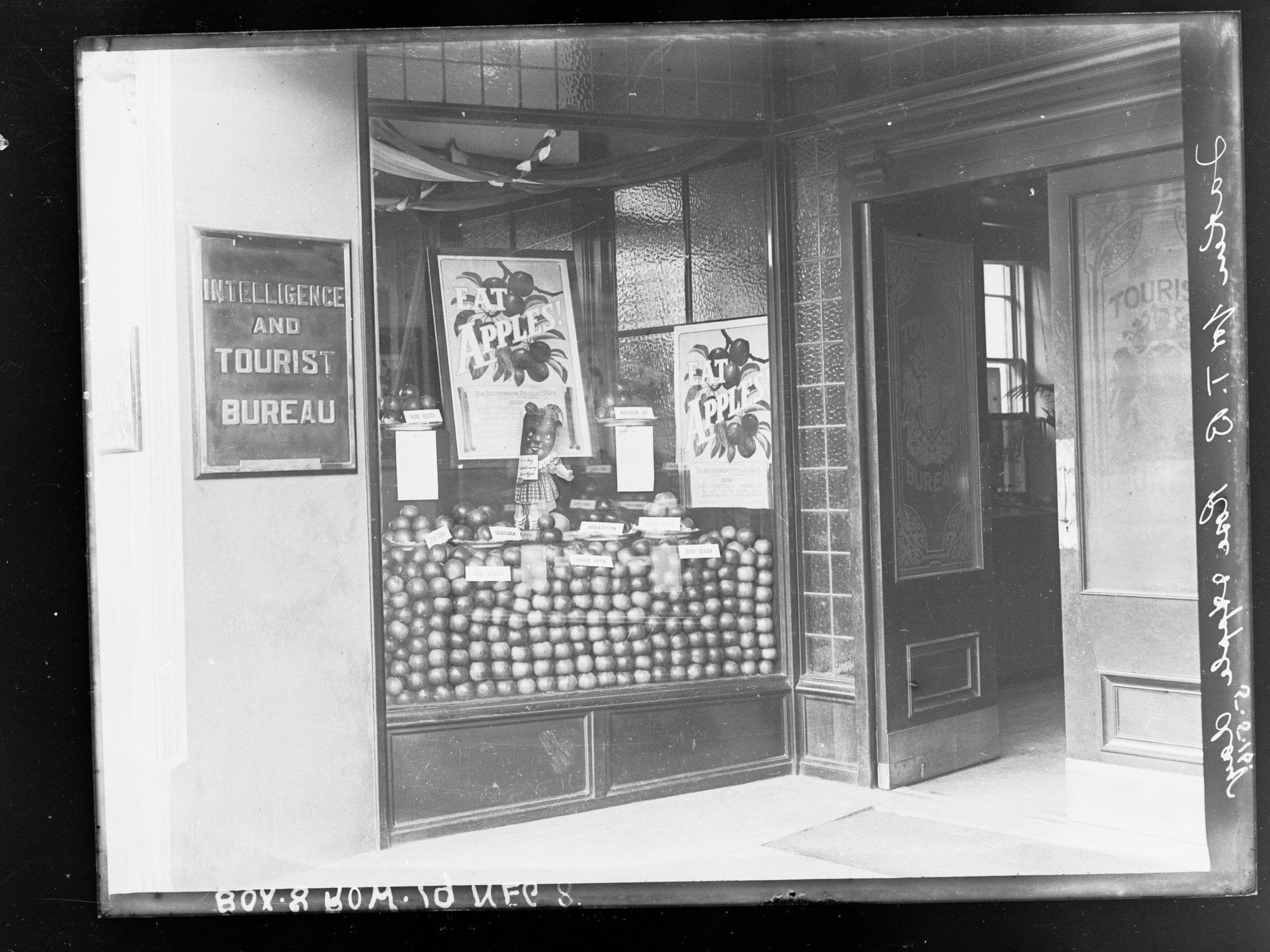 Intelligence and Tourist Bureau window display 