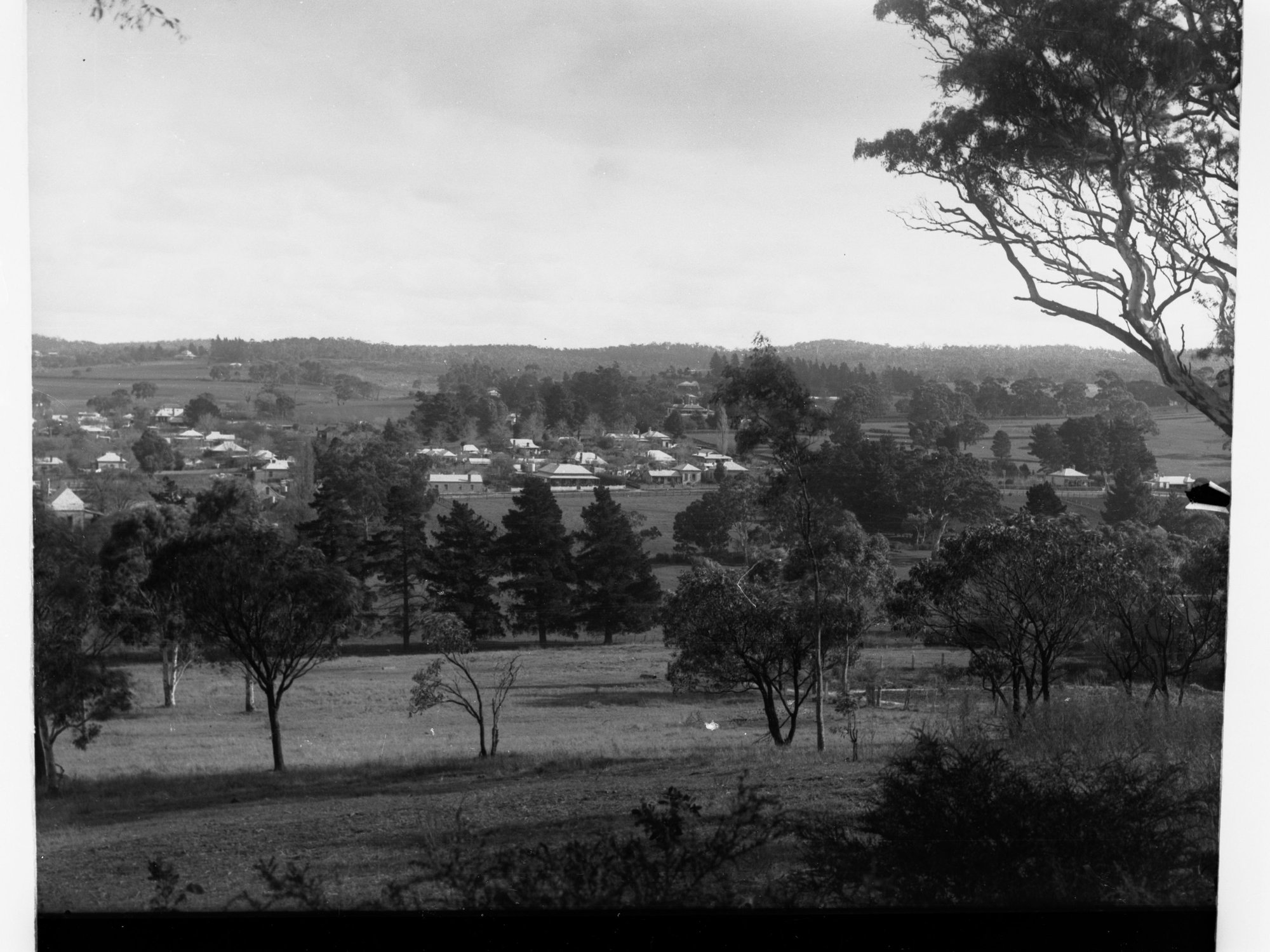 Mount Barker Township