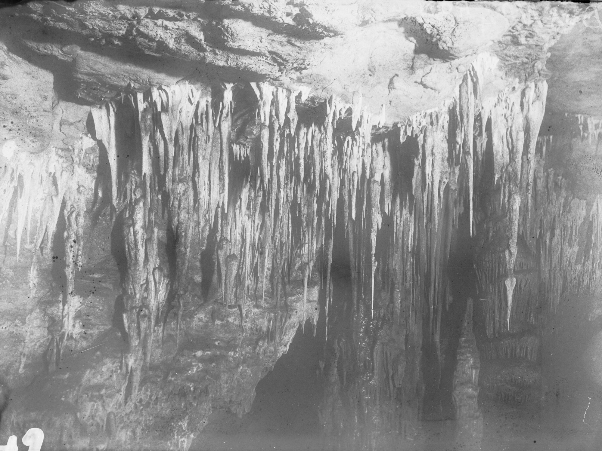 Naracoorte Caves 