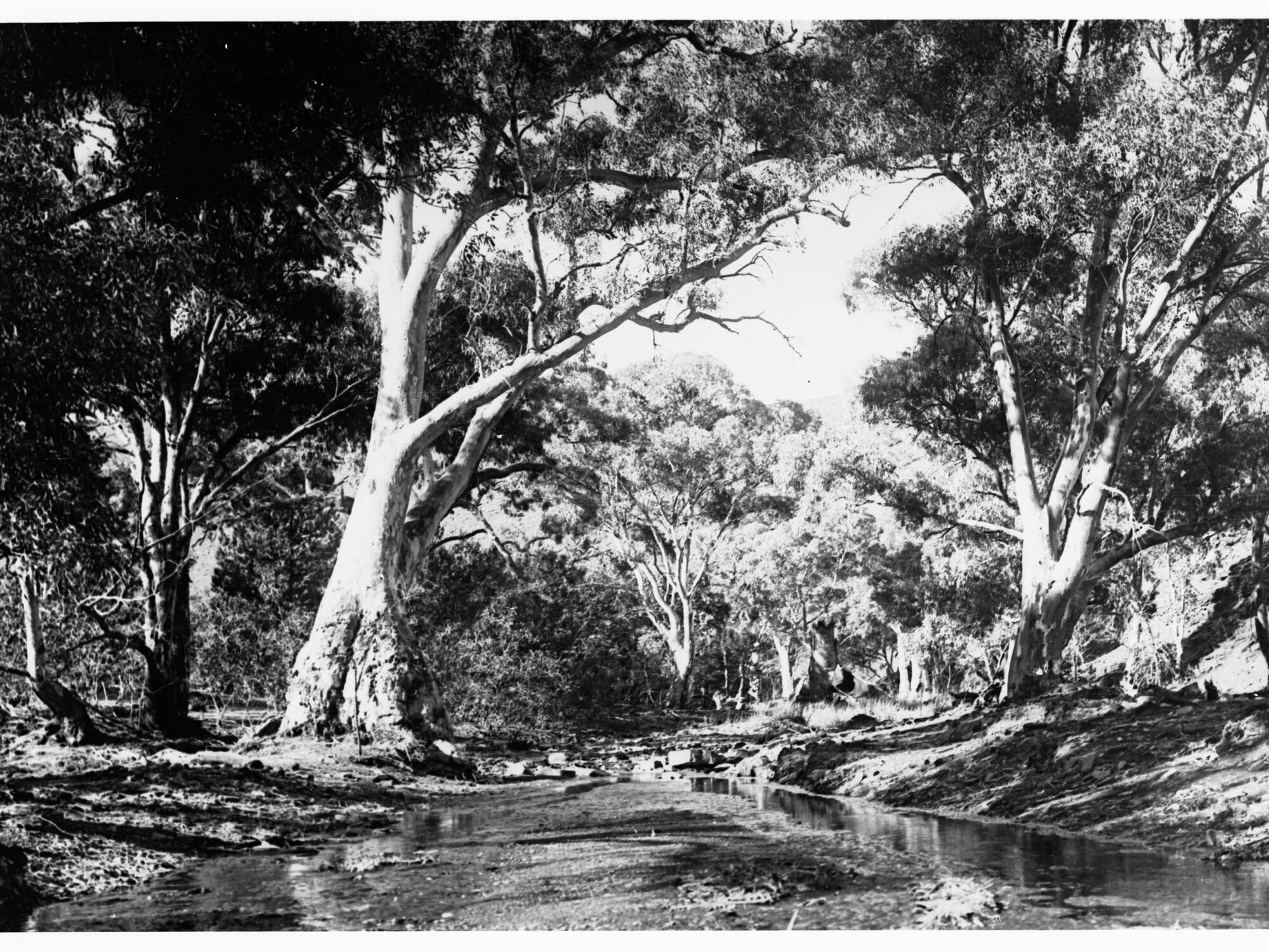 Owienagin Creek