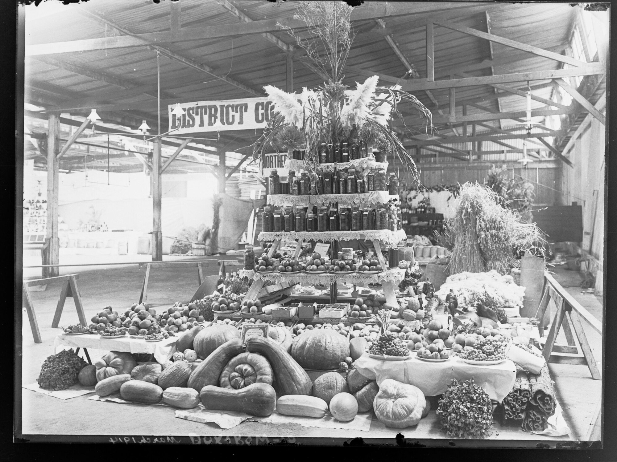 Produce Display, Uraidla and Summertown Show