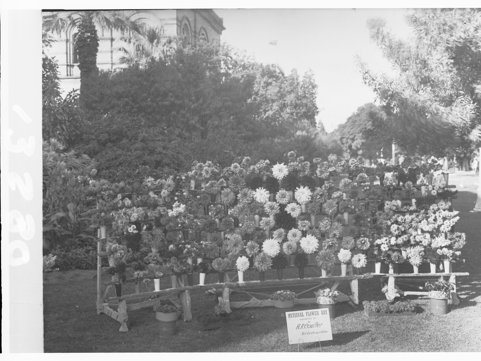 Flower specimens on display, Flower day