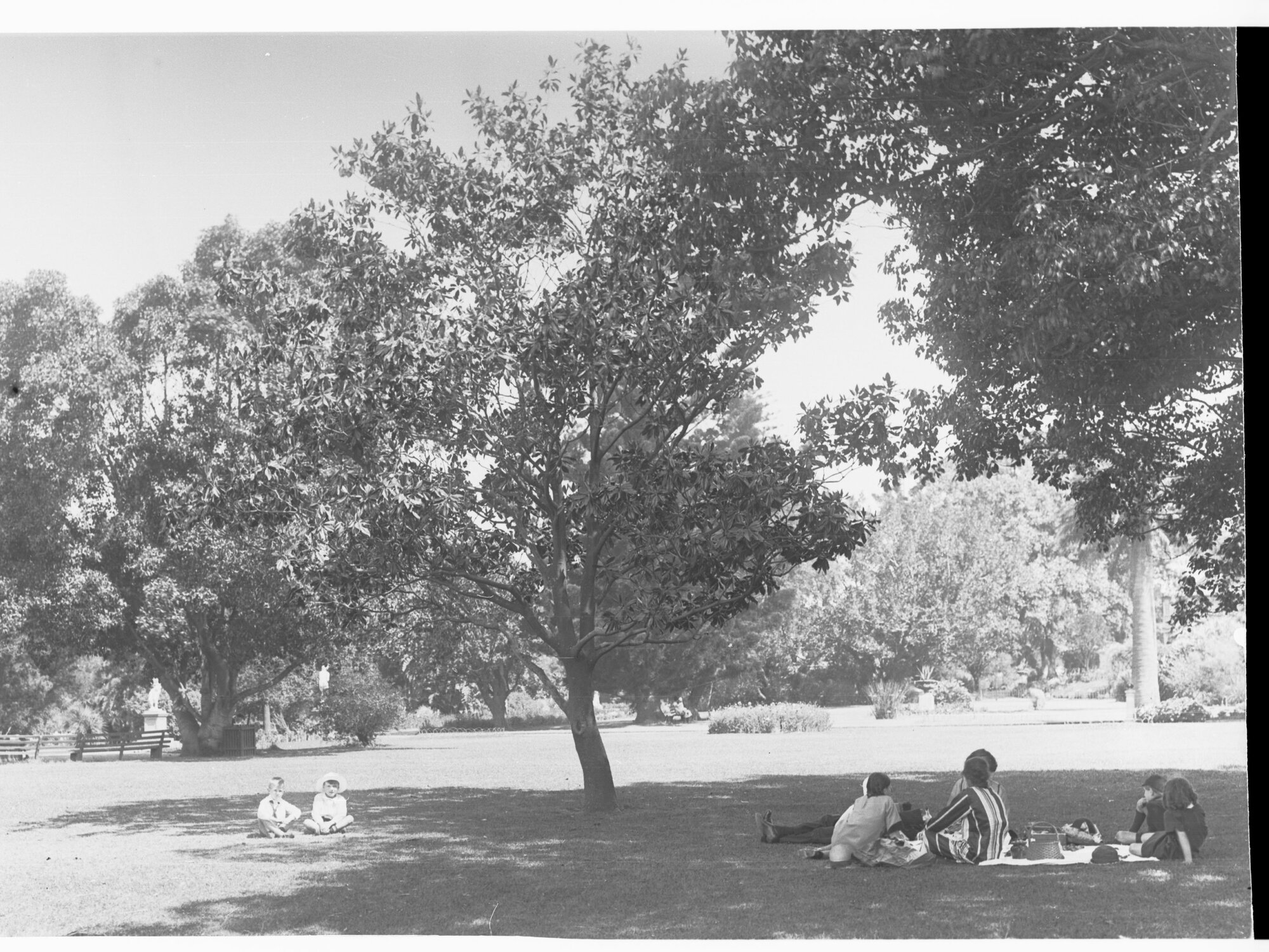 Family at Botanic Gardens having picnic