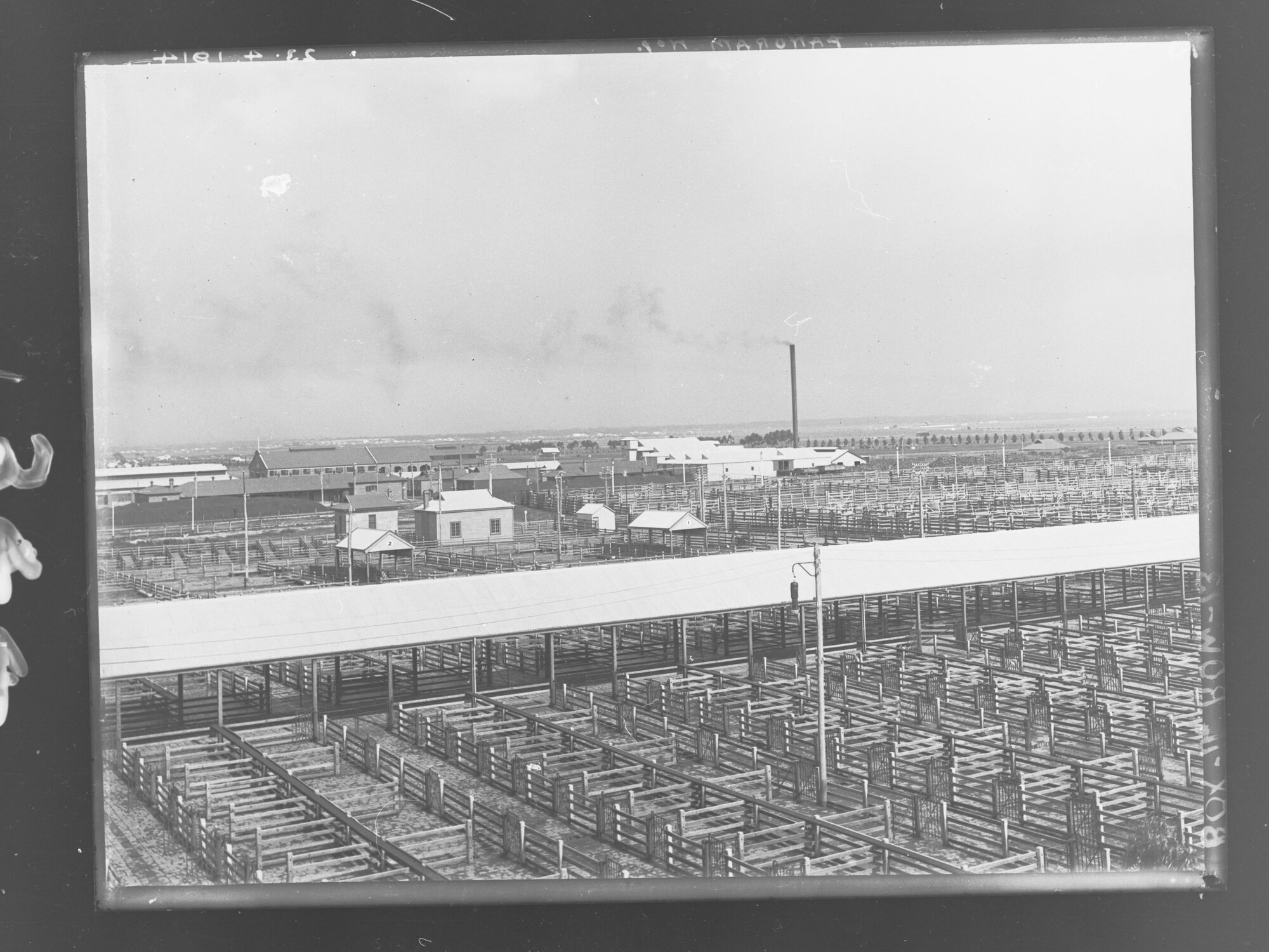 Meat Abattoirs