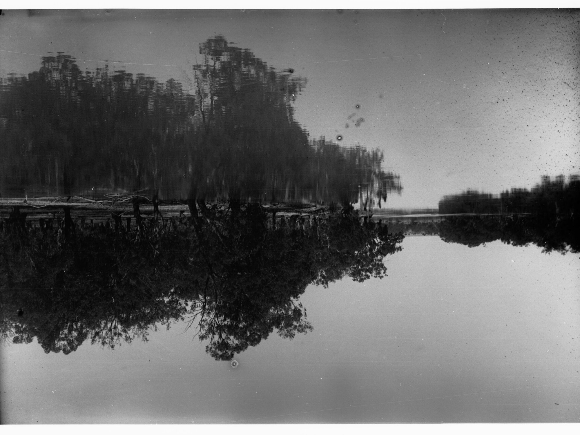 River Murray - Parliamentary Tour of River Murray