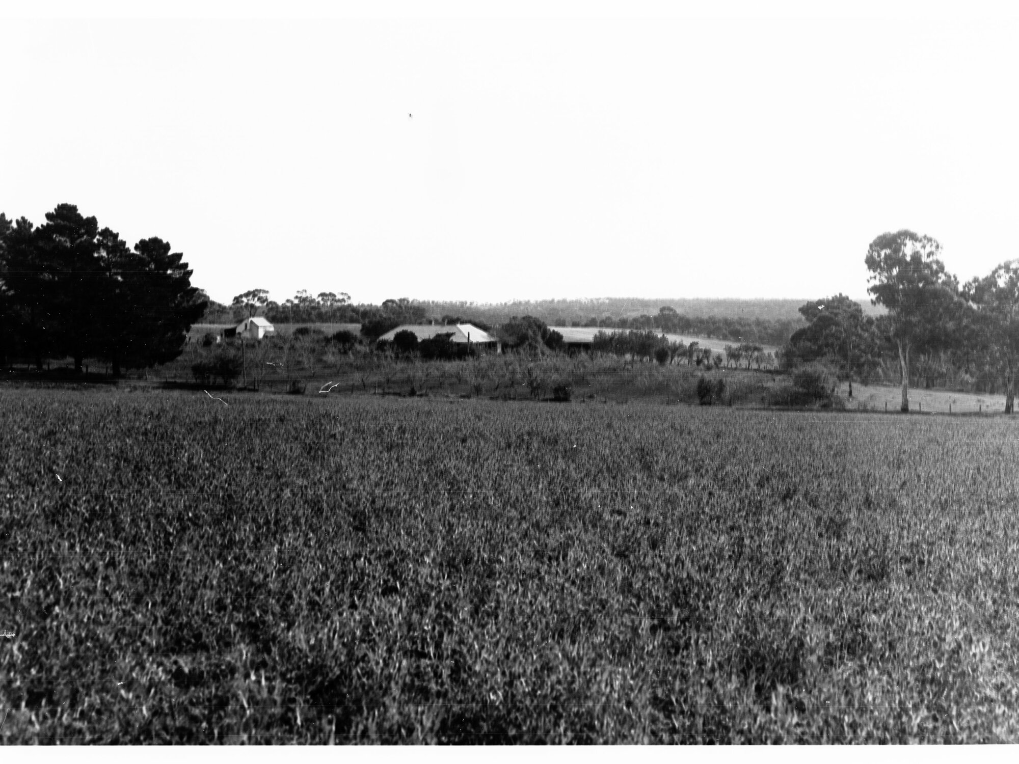 Minda Home's Craigburn Farm, 1932