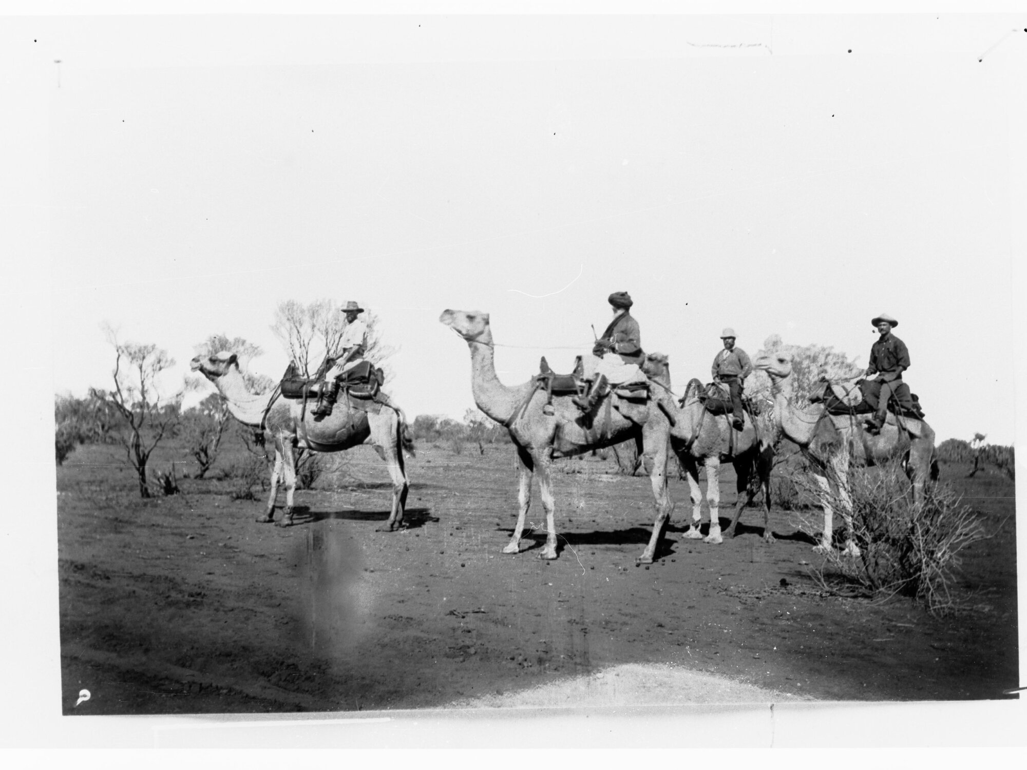 Northern Territory - men travelling by camel