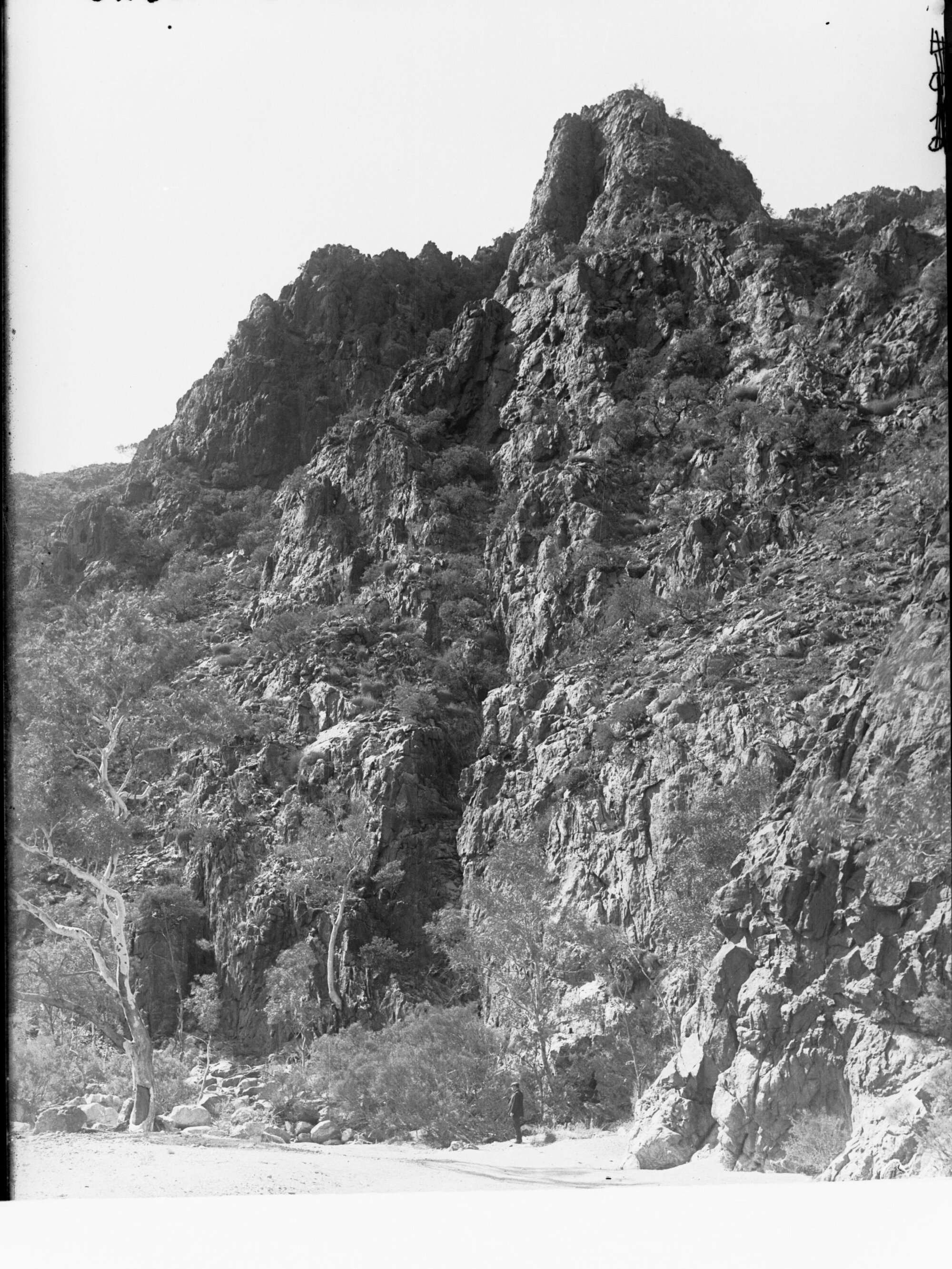 Cliff near Parlana Hot Springs, Flinders Ranges