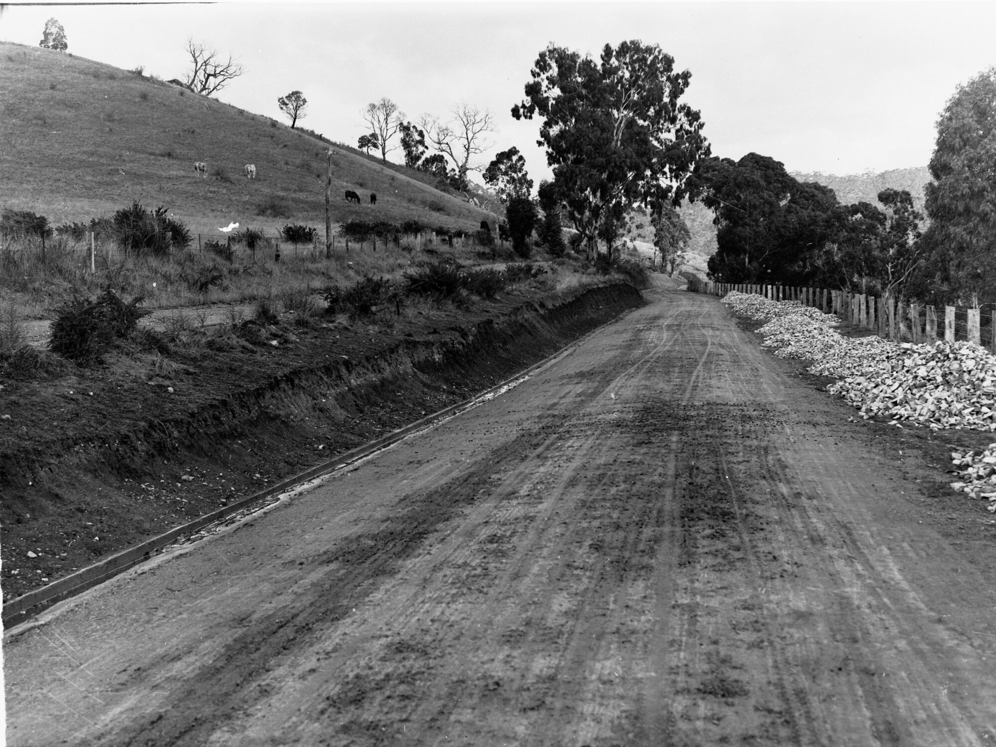 Torrens Gorge Road
