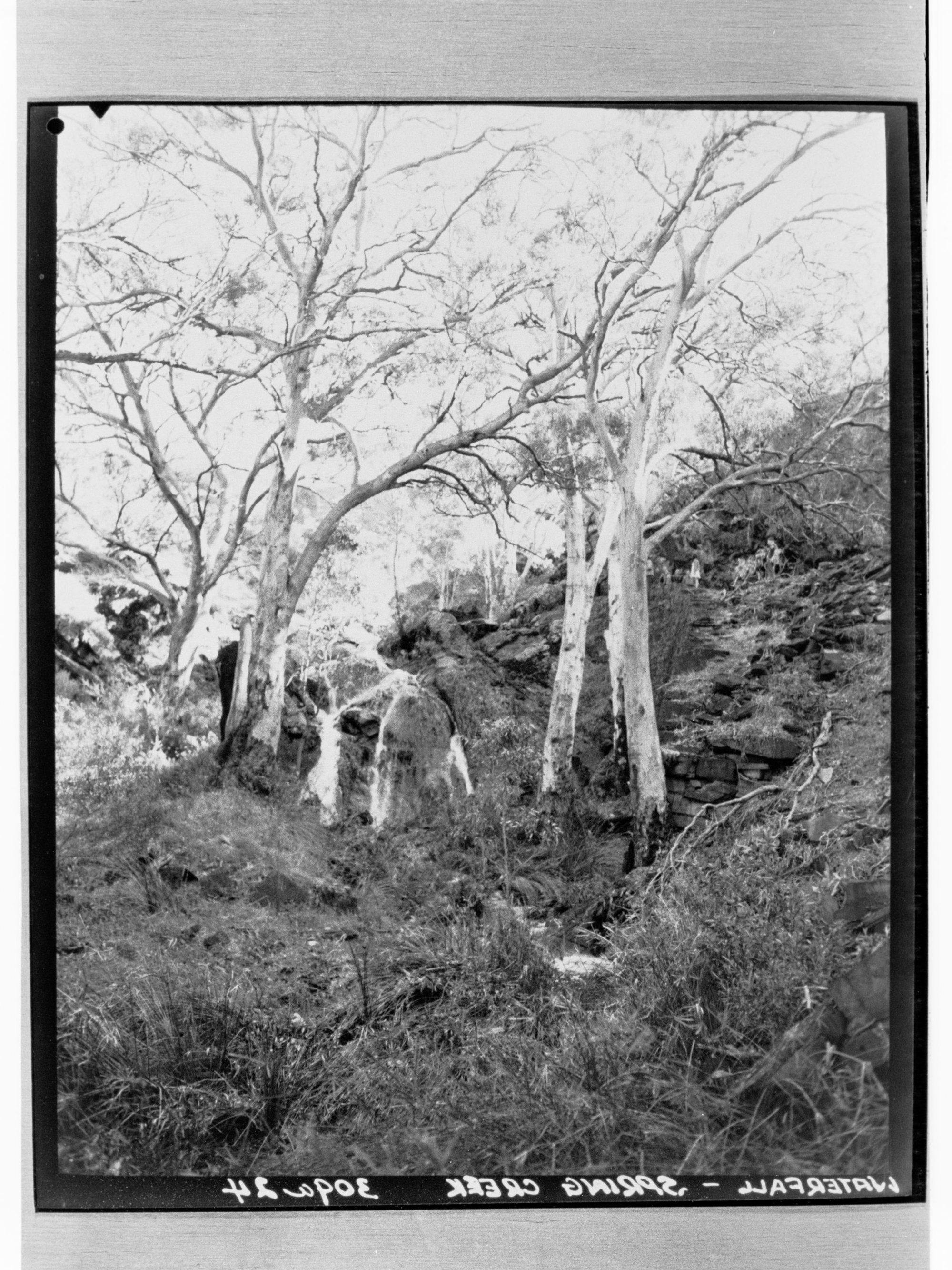 Waterfall - Spring Creek