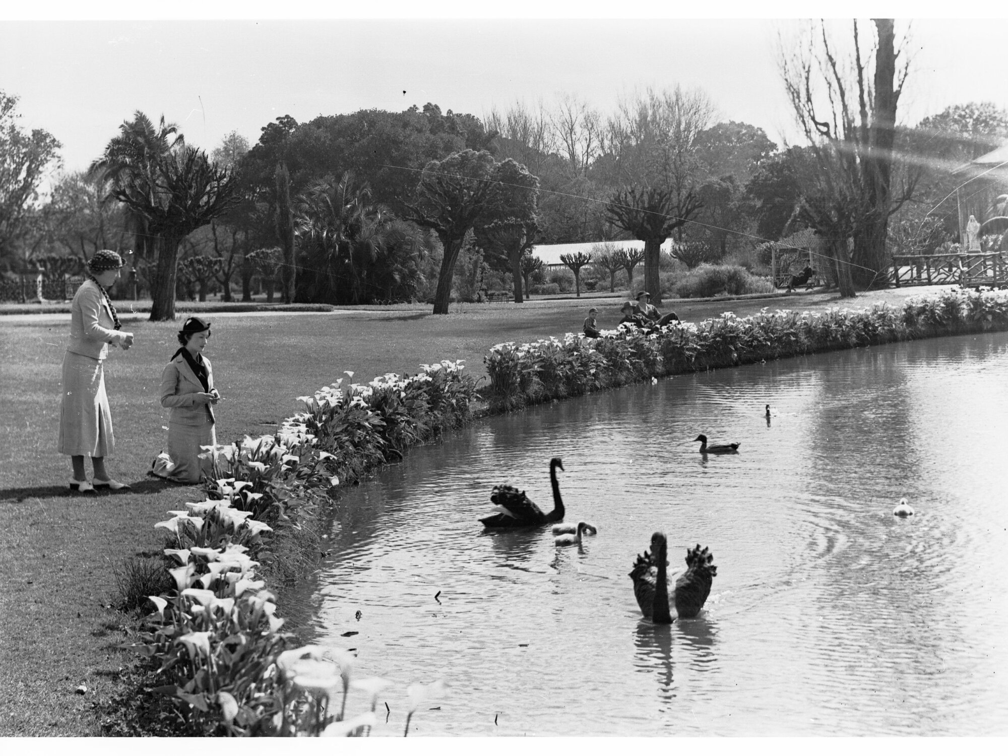 Botanic Gardens 